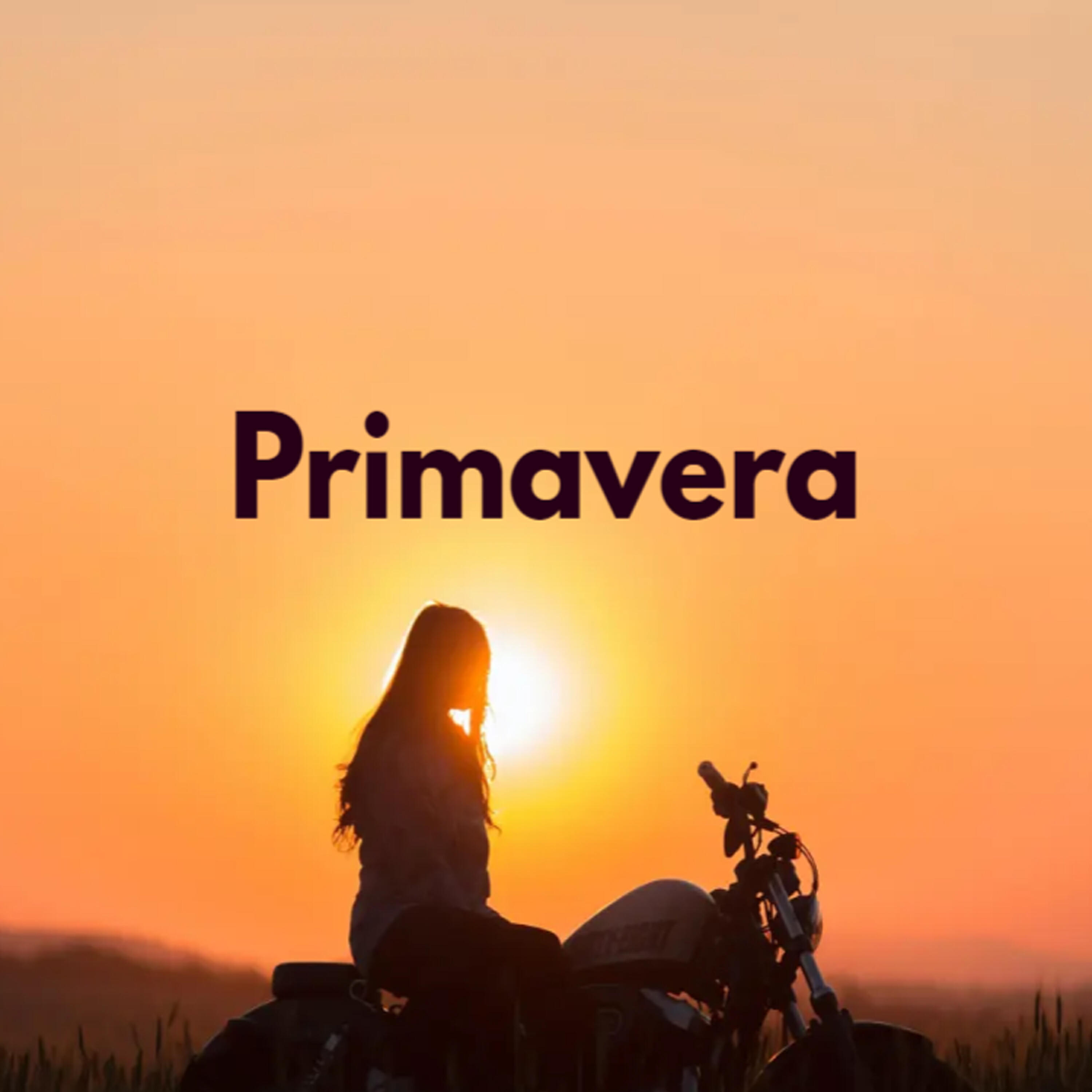 Релиз Primavera