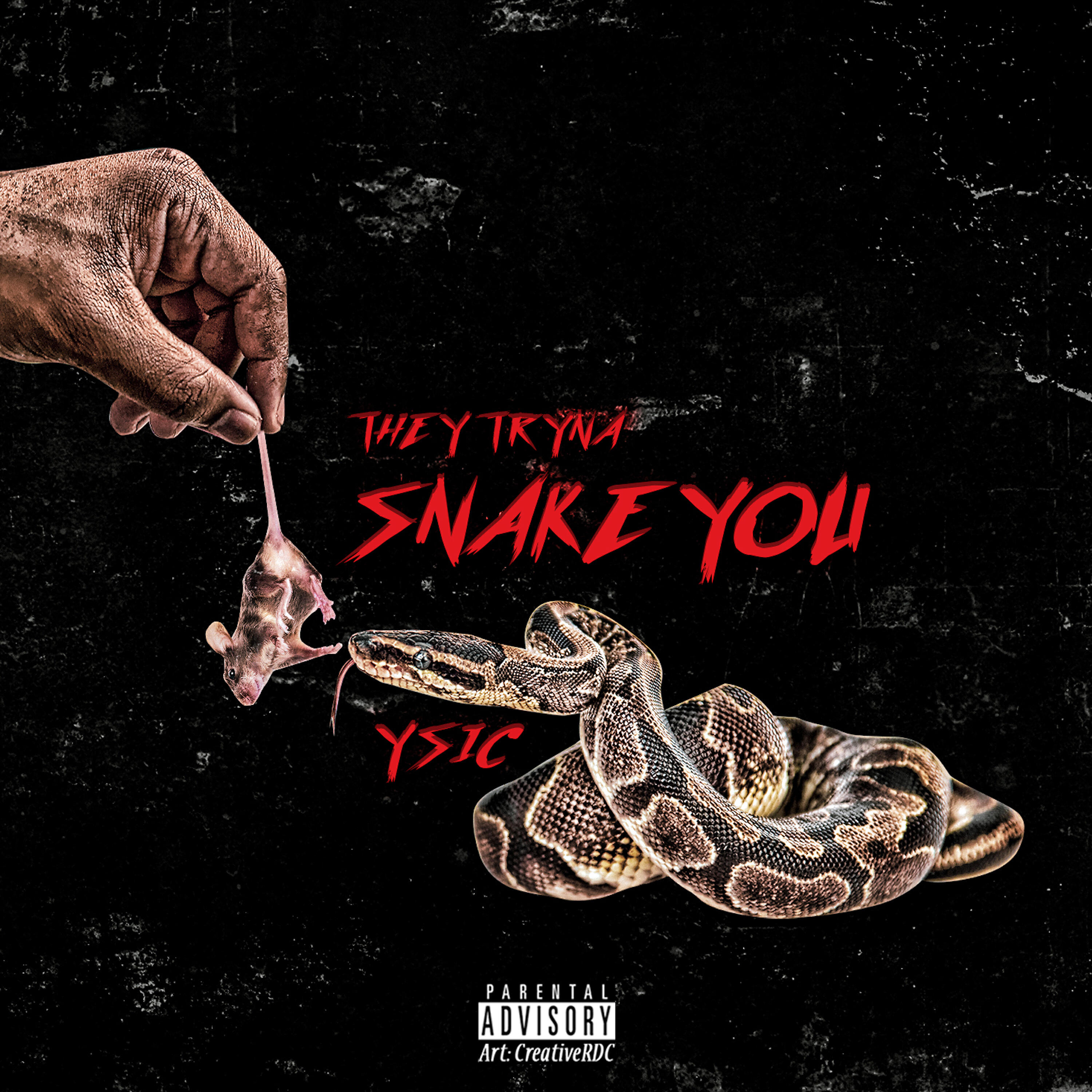 Релиз They Trying to Snake You