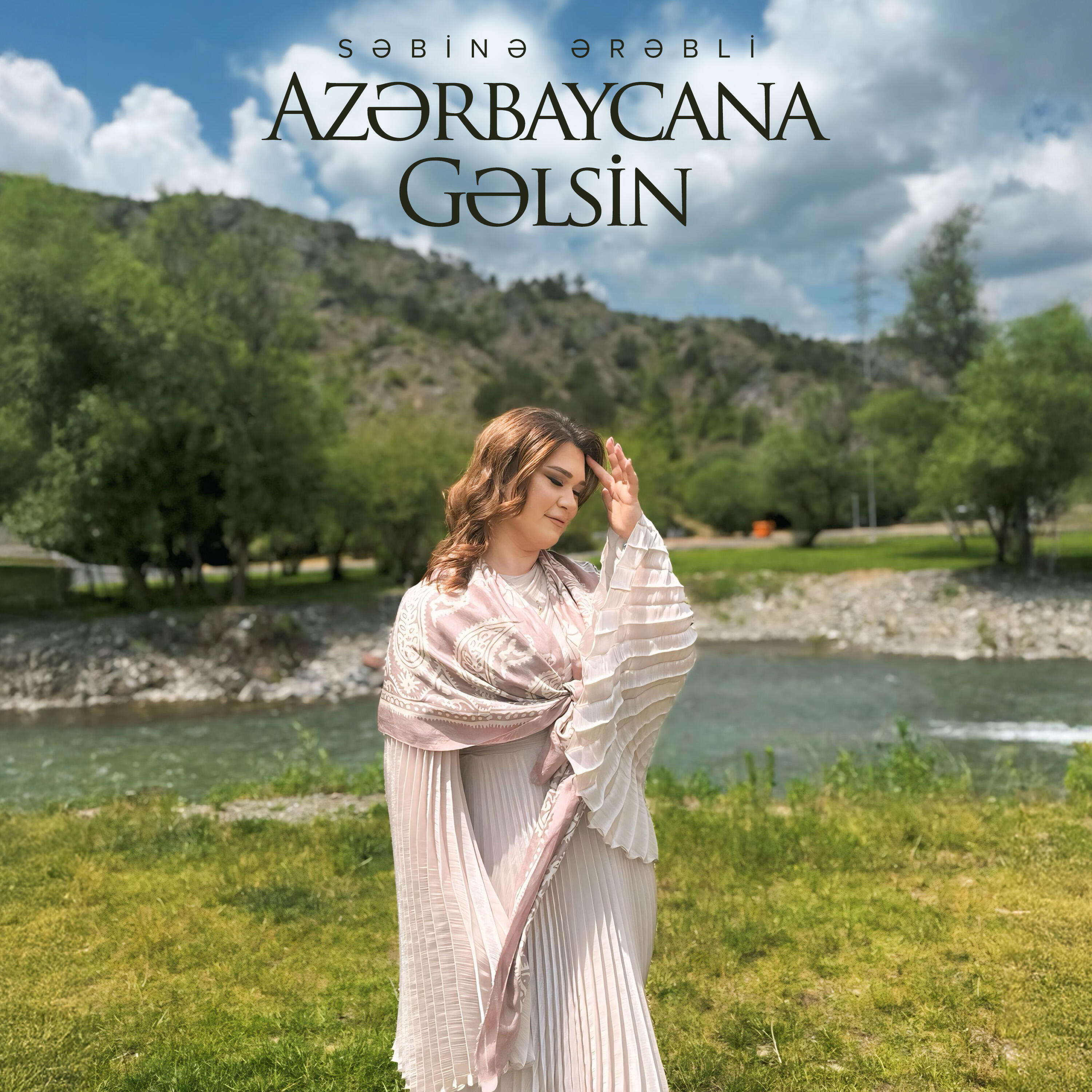 Постер альбома Azərbaycana Gəlsin