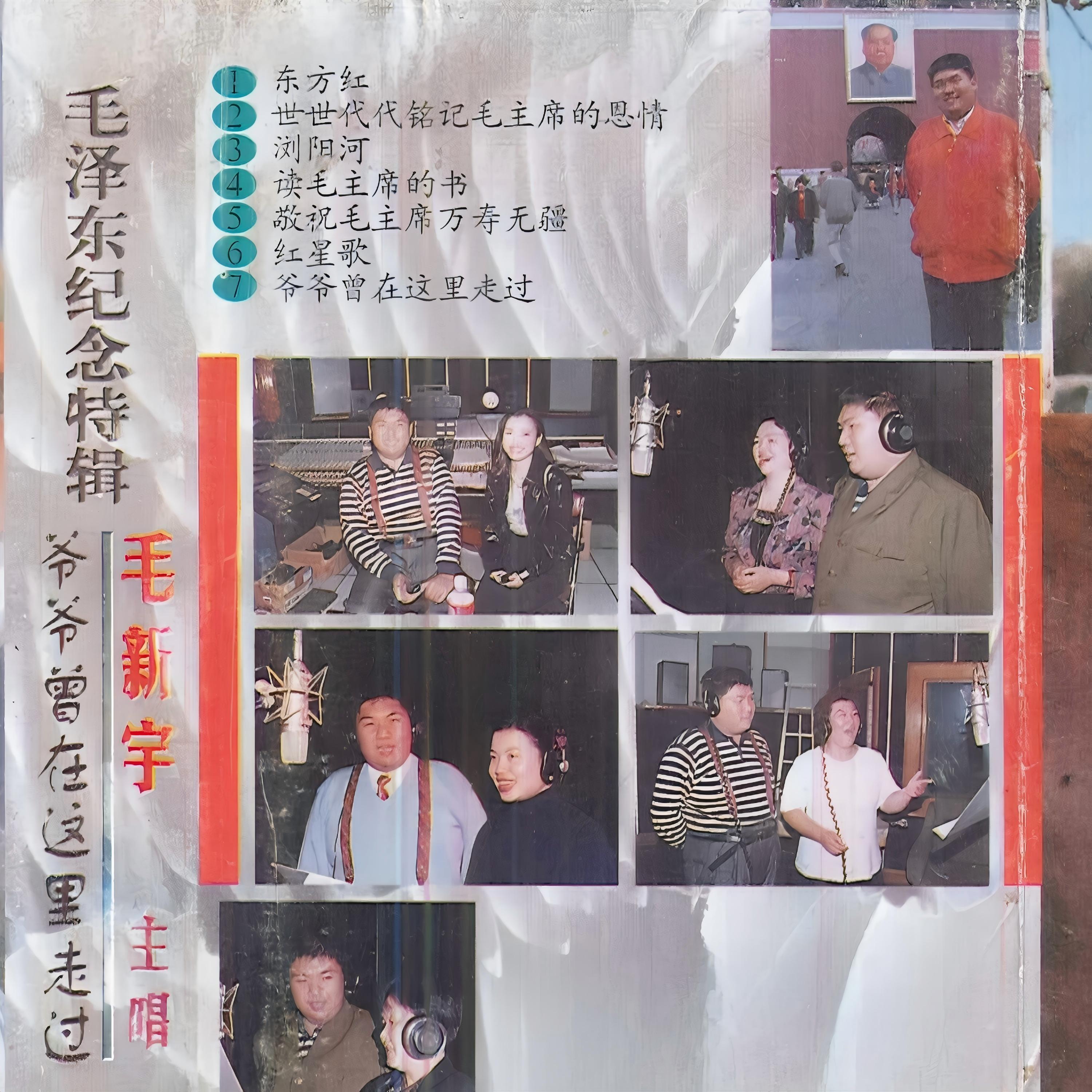 德德玛