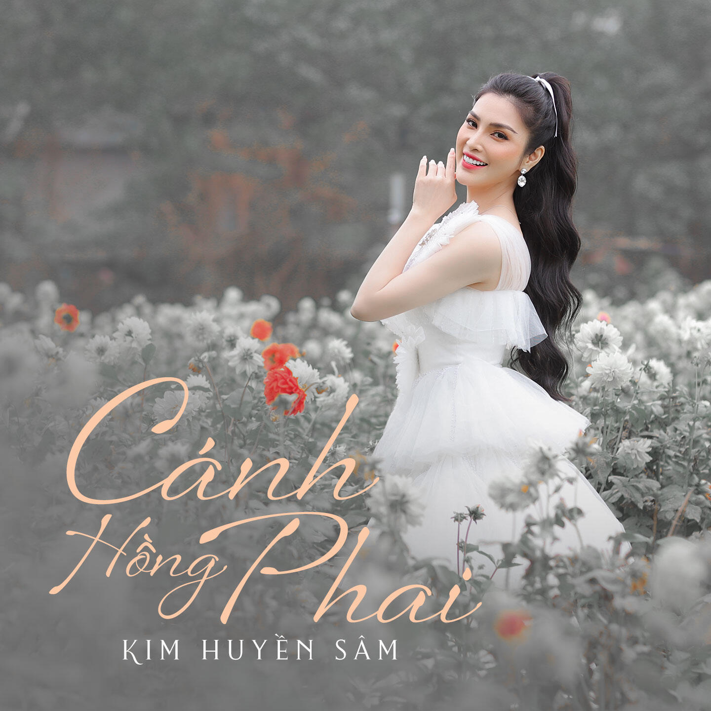 Релиз Cánh Hồng Phai