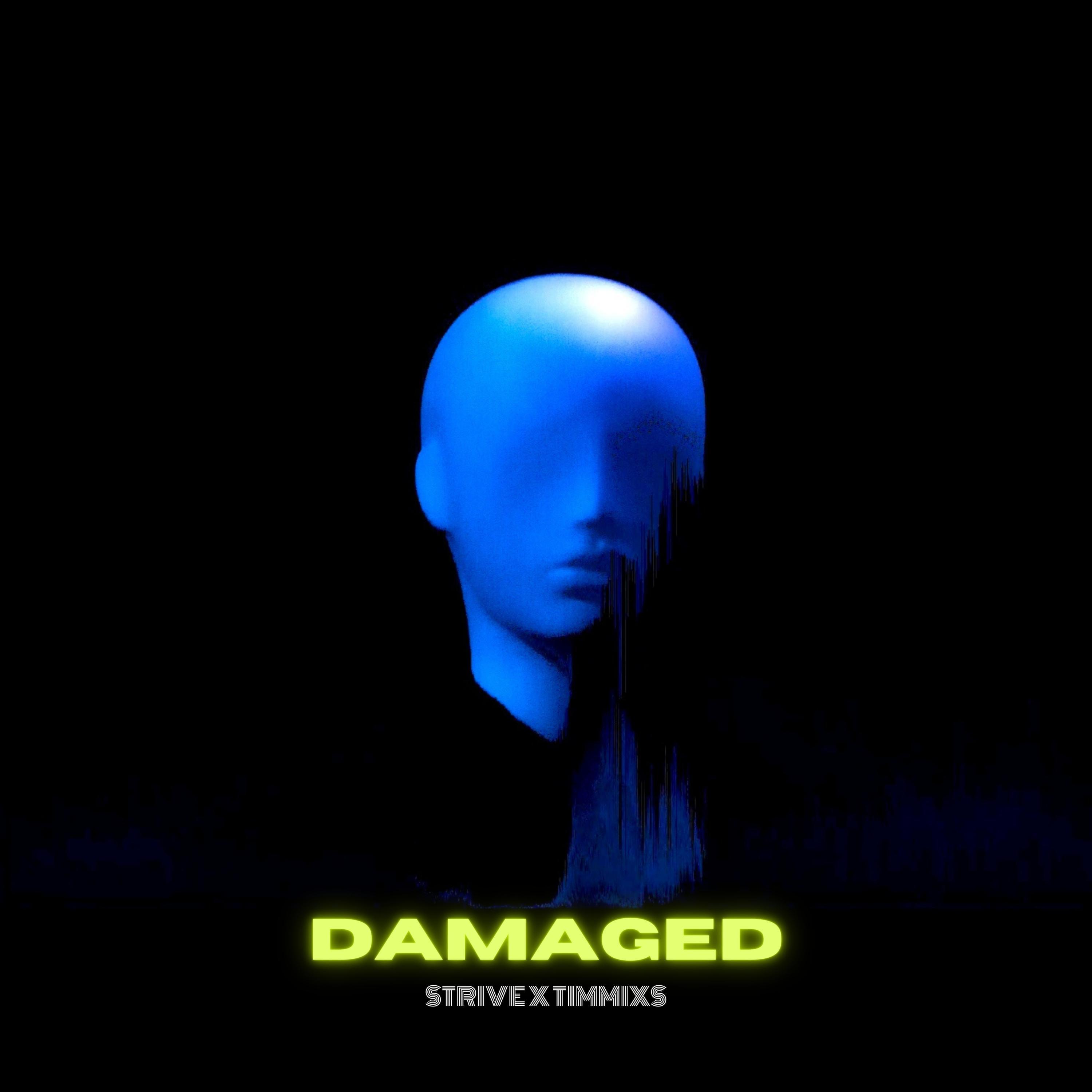 Релиз Damaged