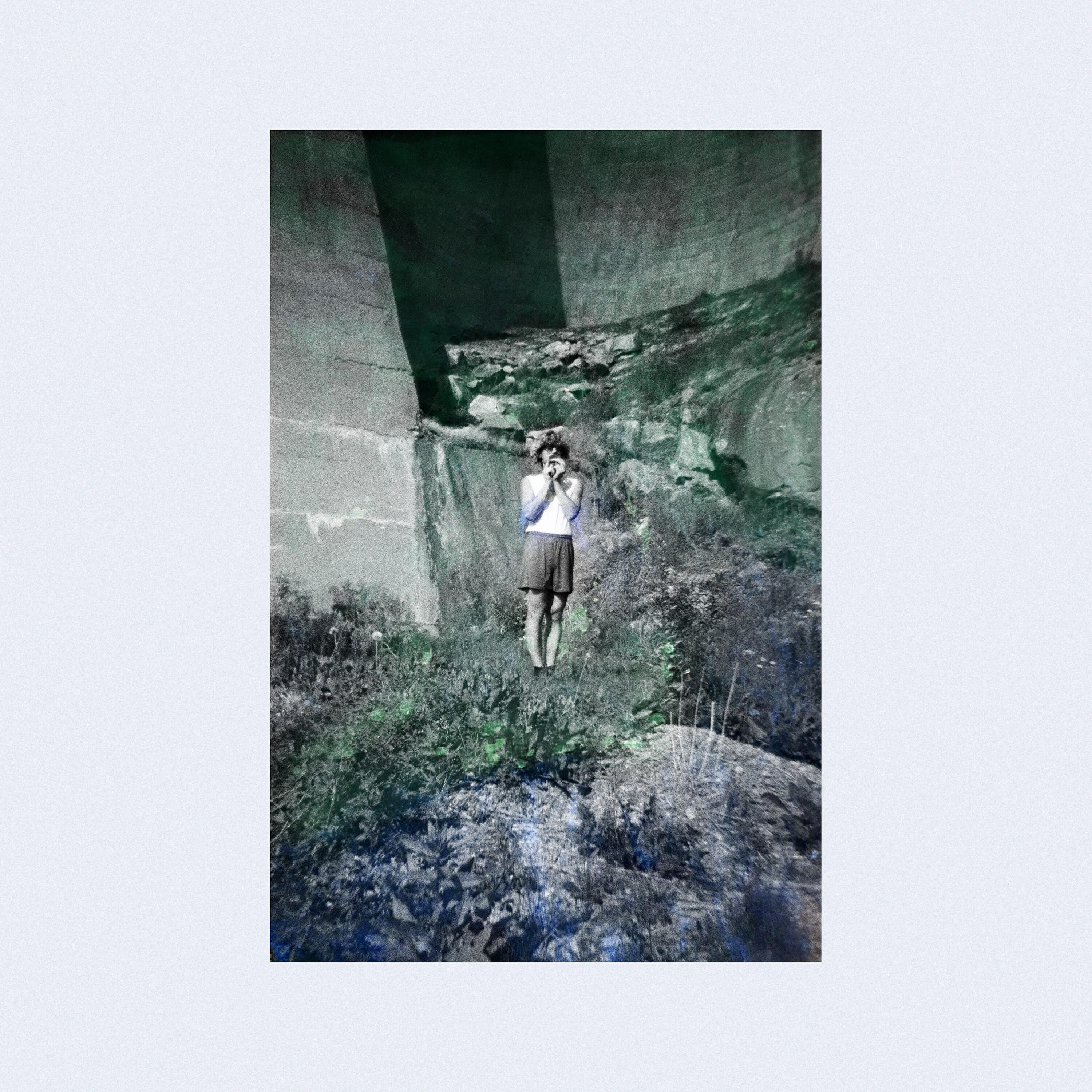 Релиз Fiou - Chronique d'une vie de merde