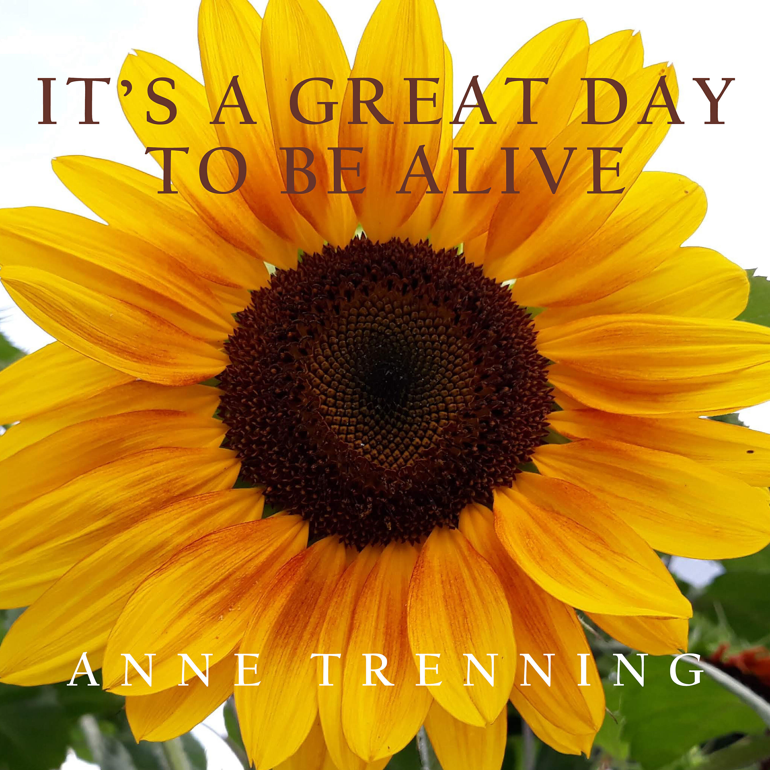 Релиз It's a Great Day to Be Alive (Radio Edit)