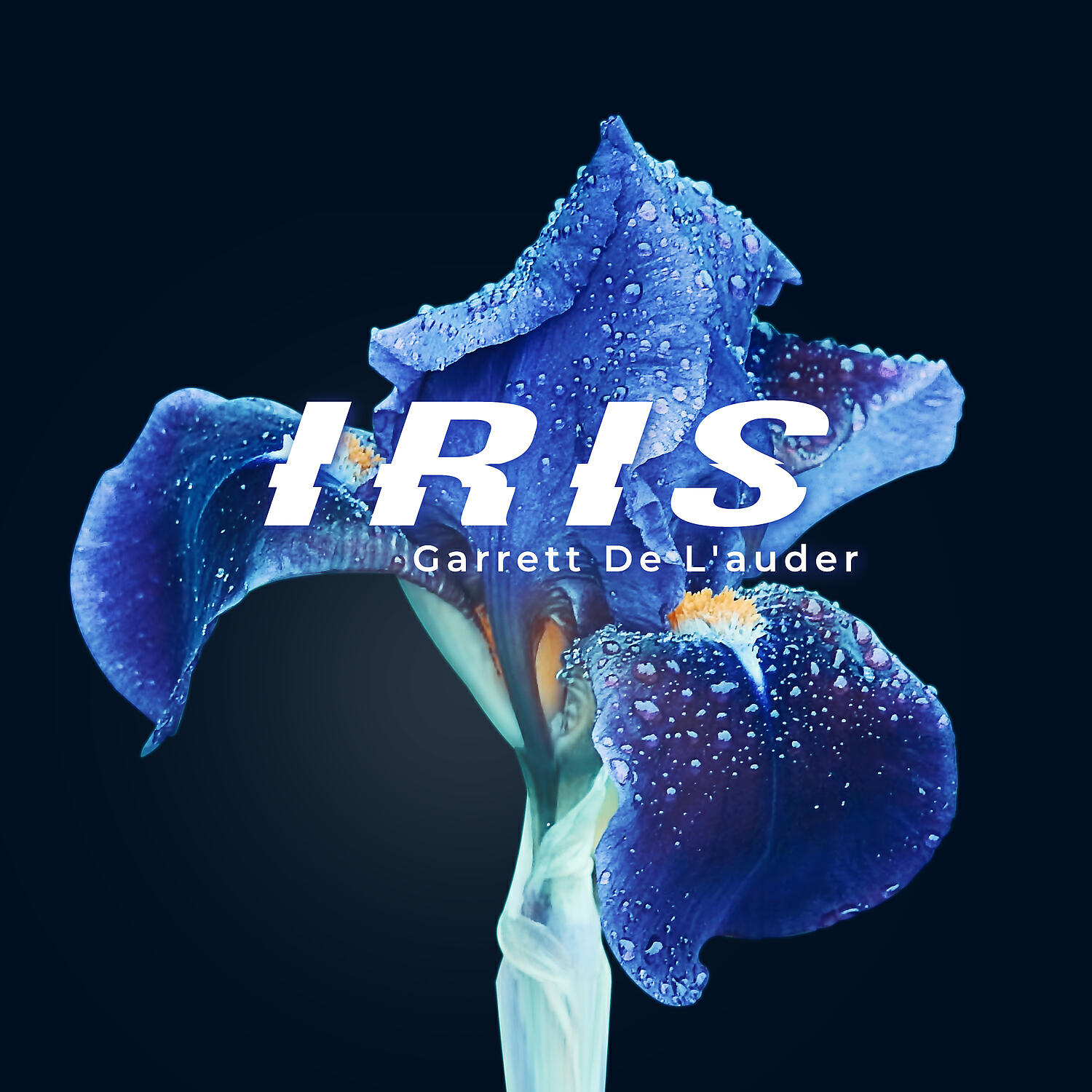 Релиз Iris