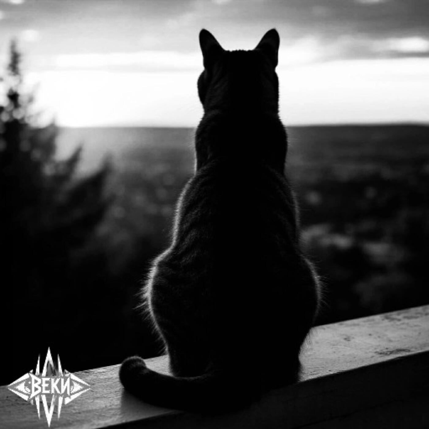 Веки