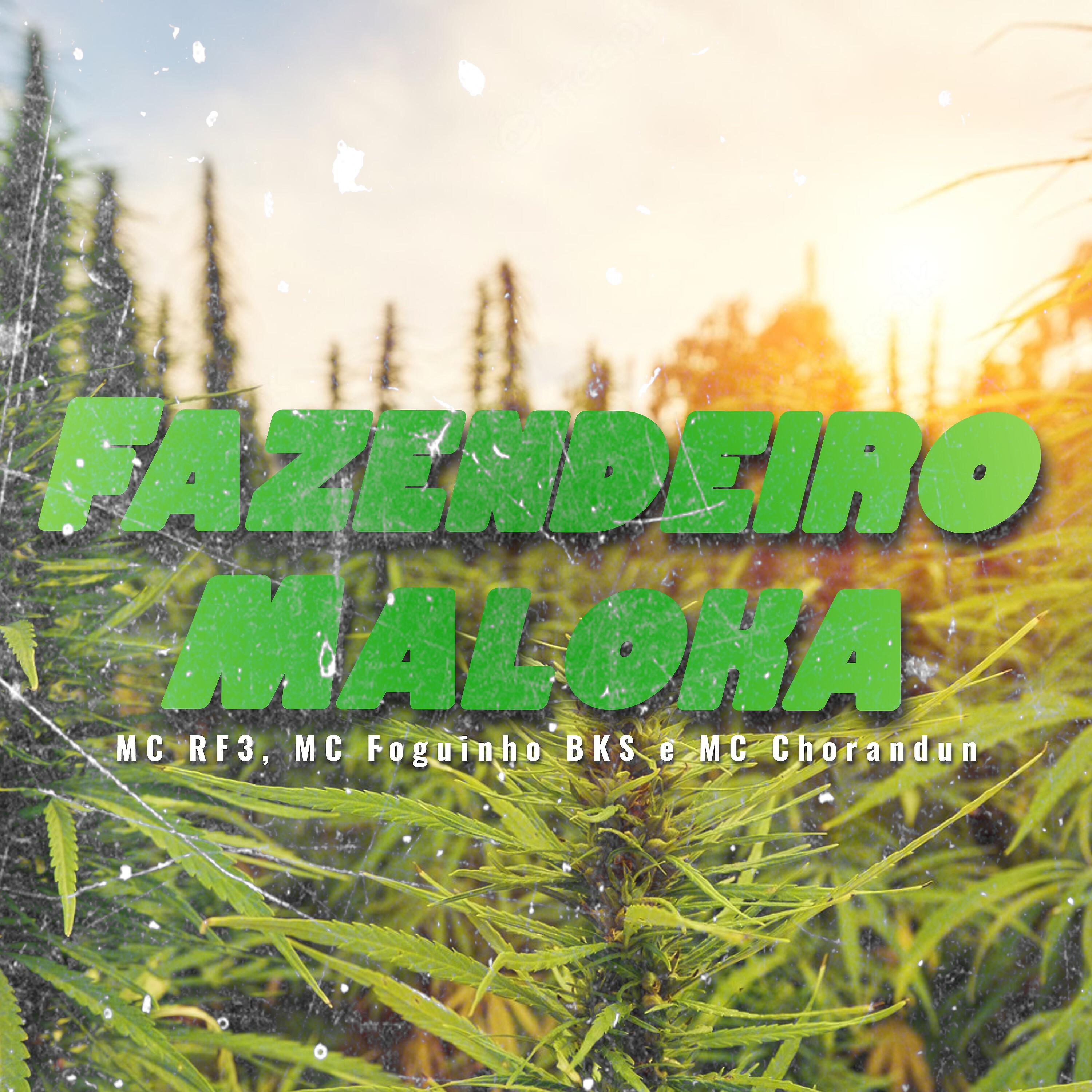 Релиз Fazendeiro Maloka