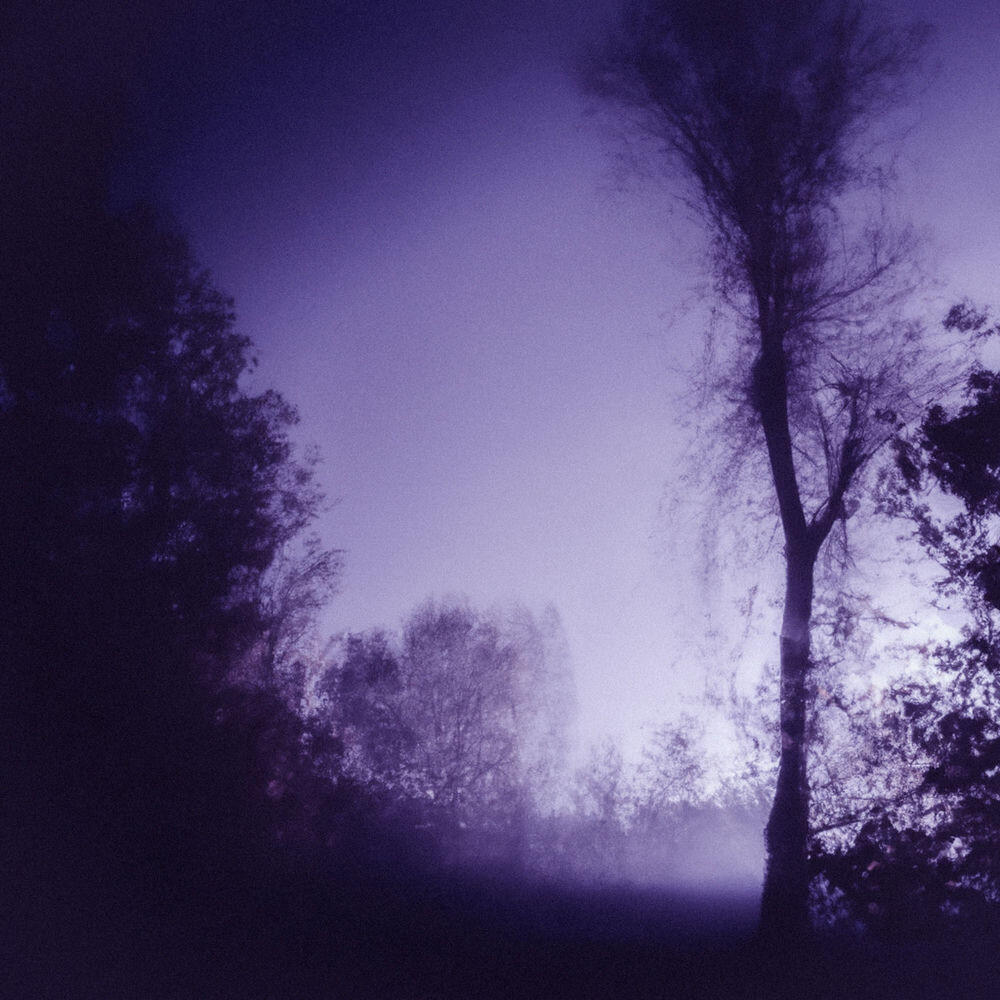 Релиз fading