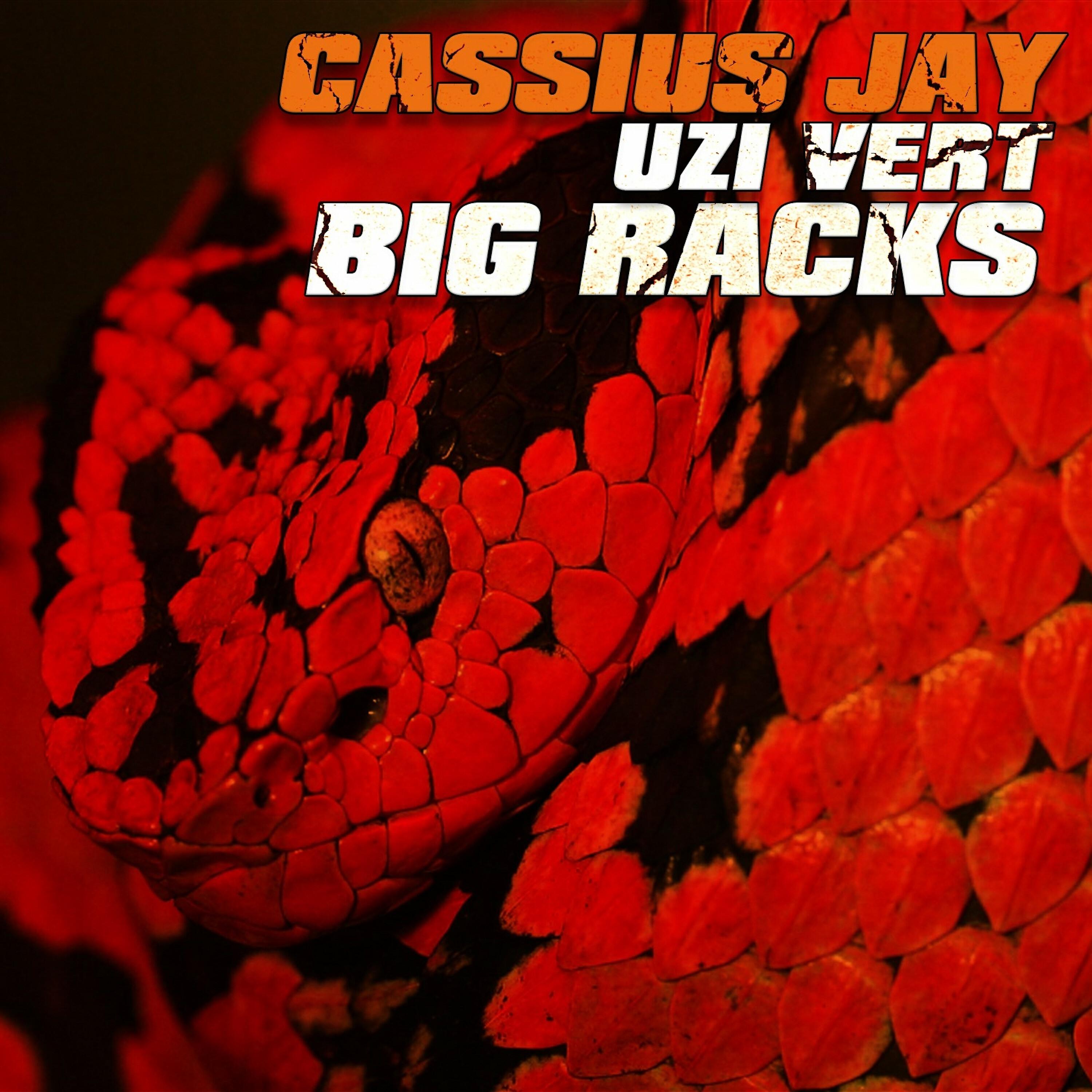 Релиз Big Racks (feat. Lil Uzi Vert)