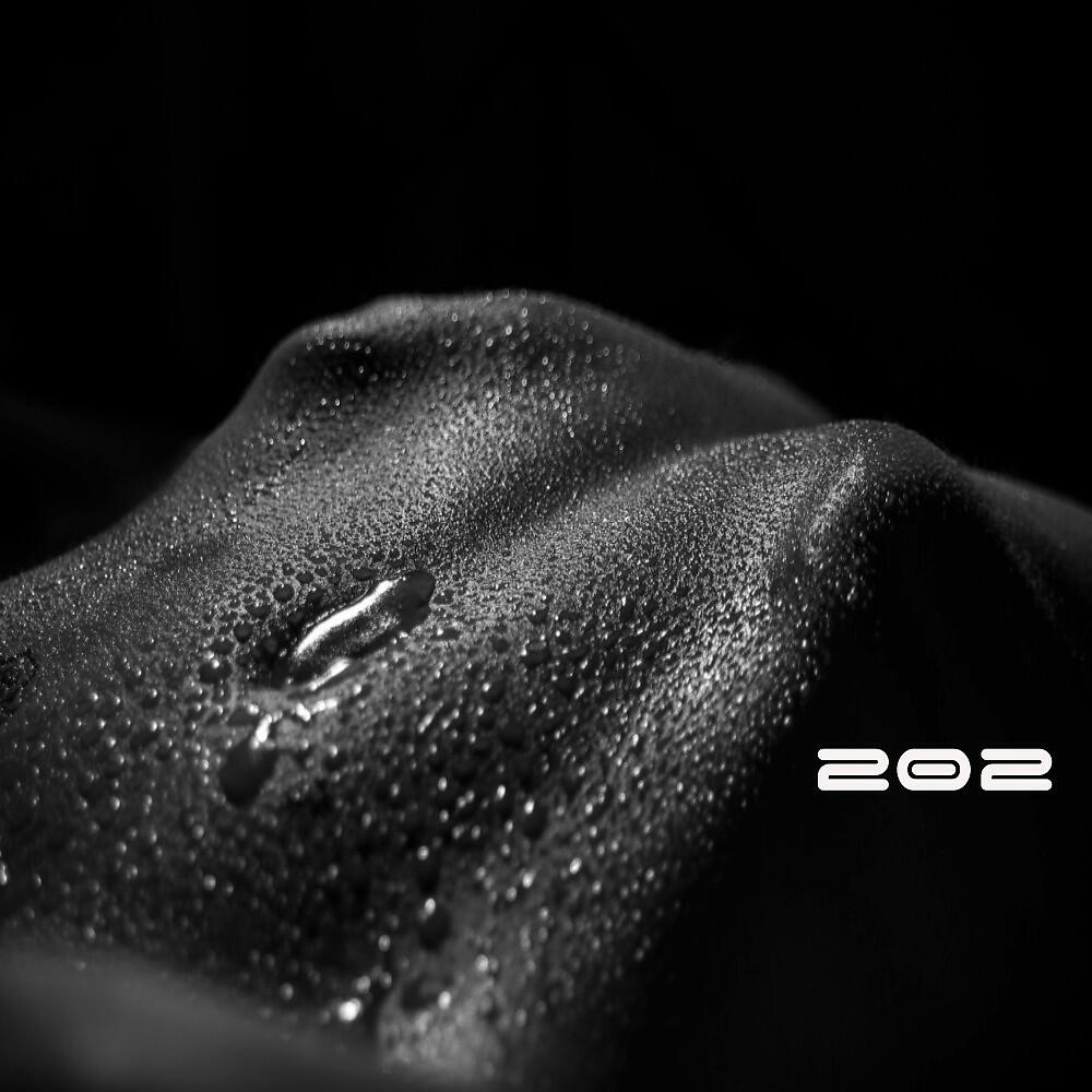 Релиз 202