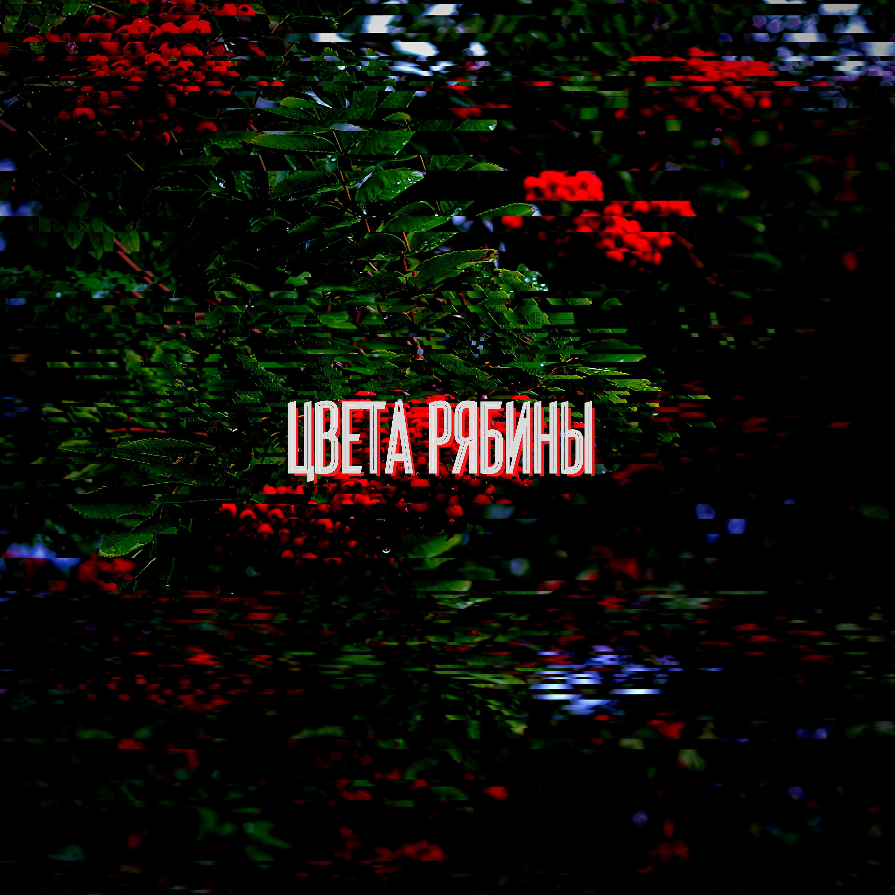 Релиз Цвета рябины