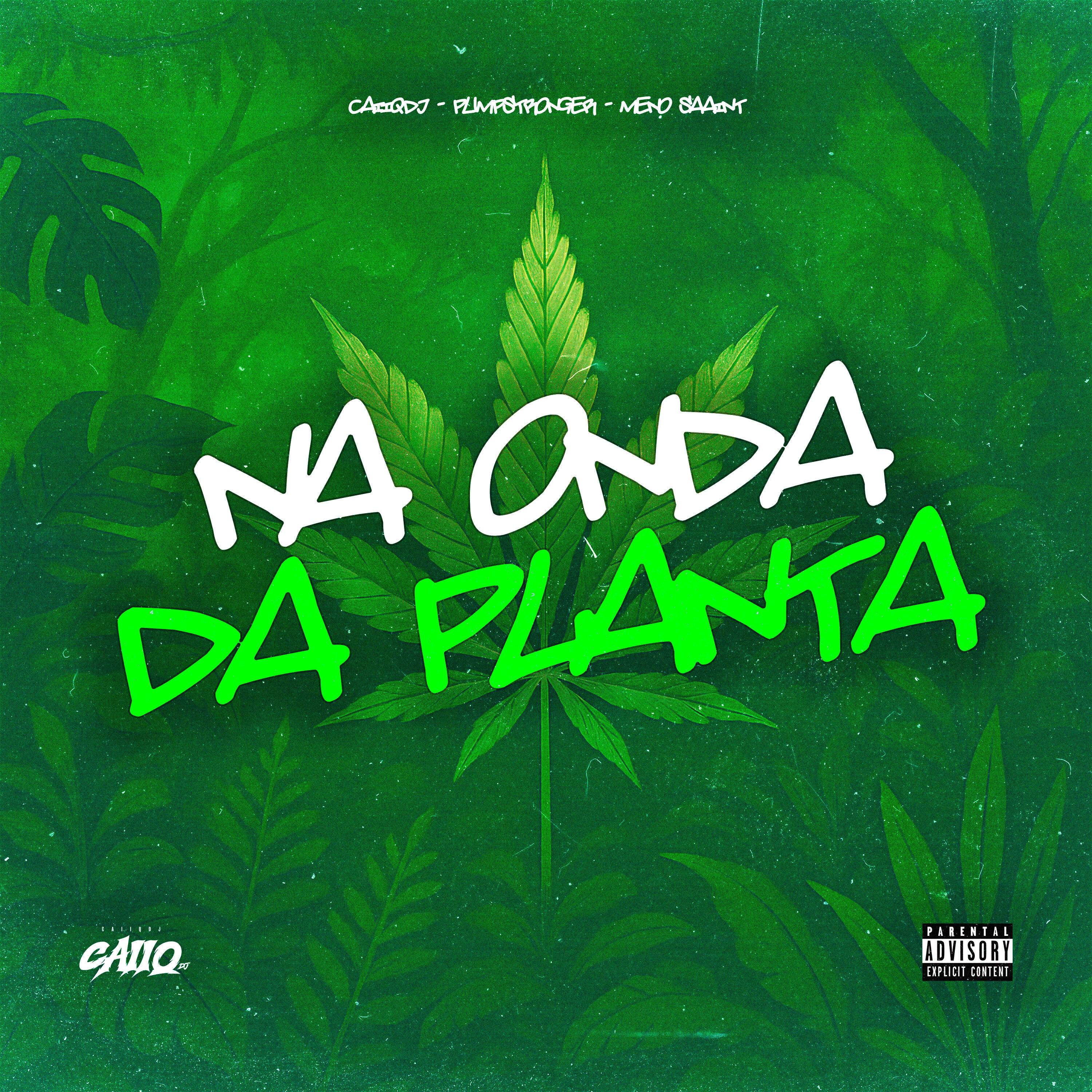 Постер альбома Na Onda da Planta