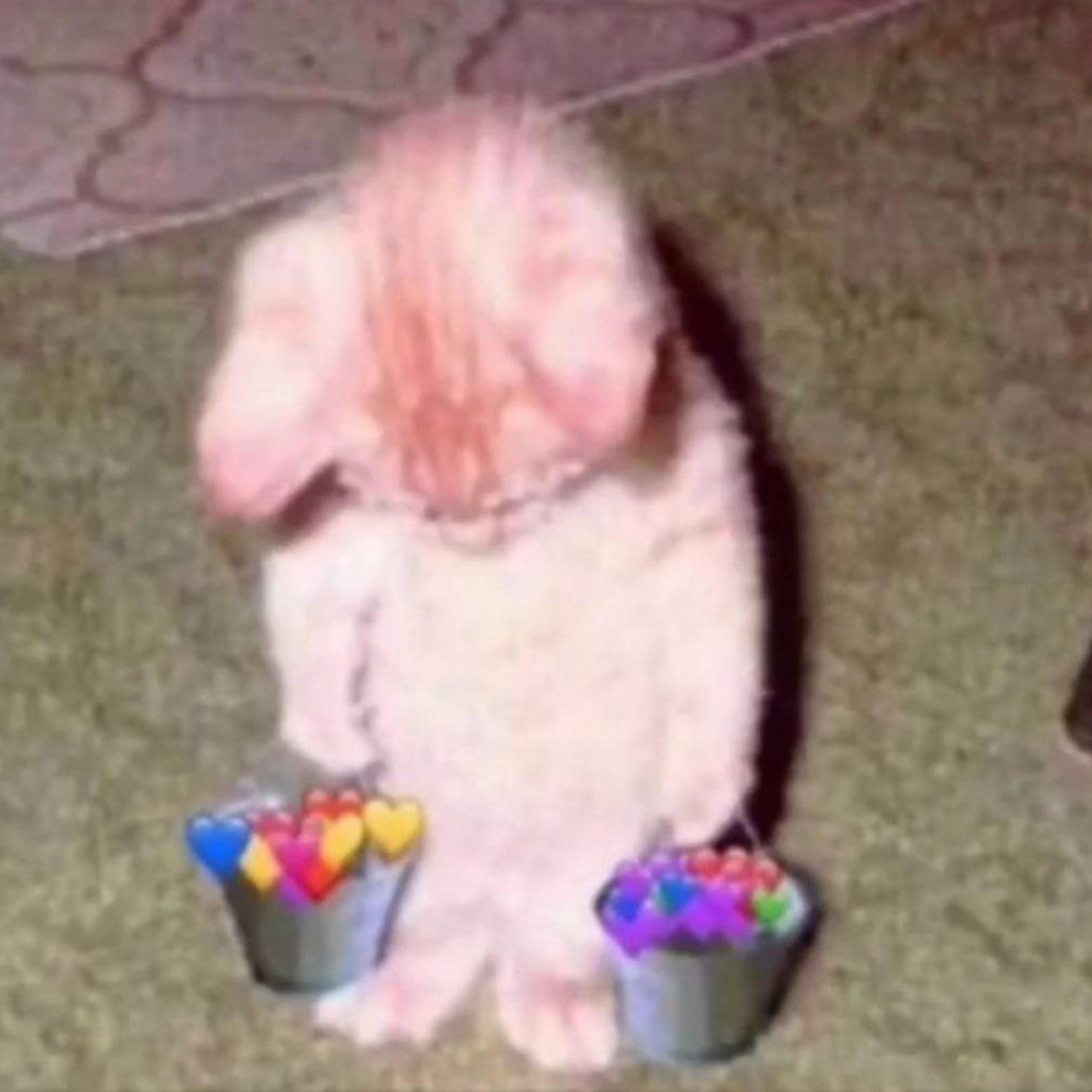 Релиз Sorry, I Like You