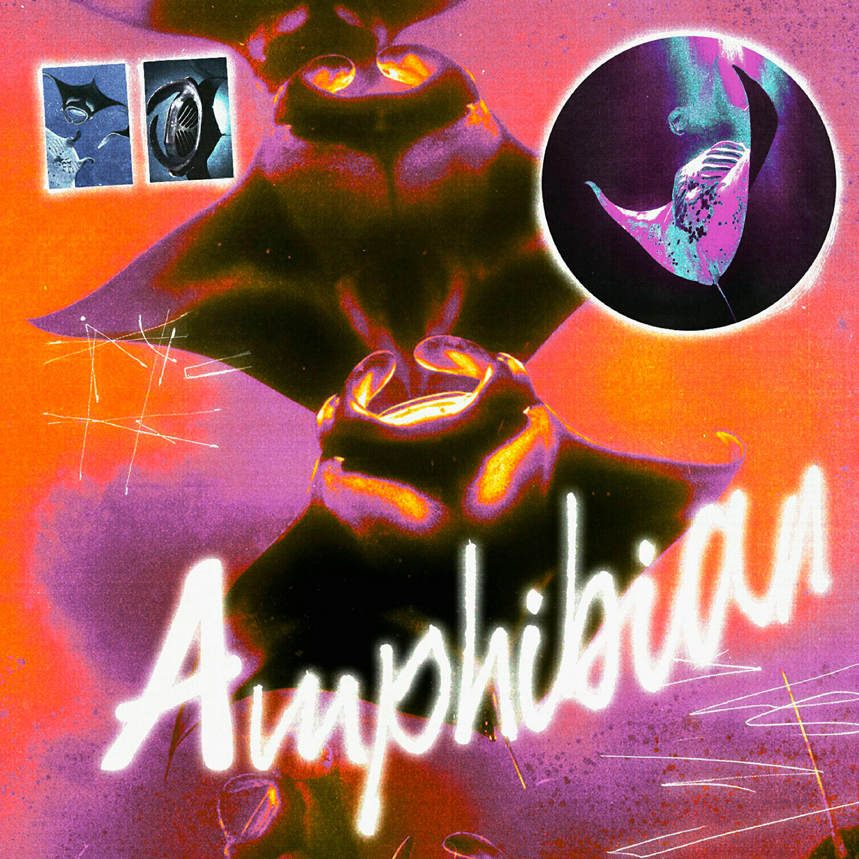 Релиз Amphibian