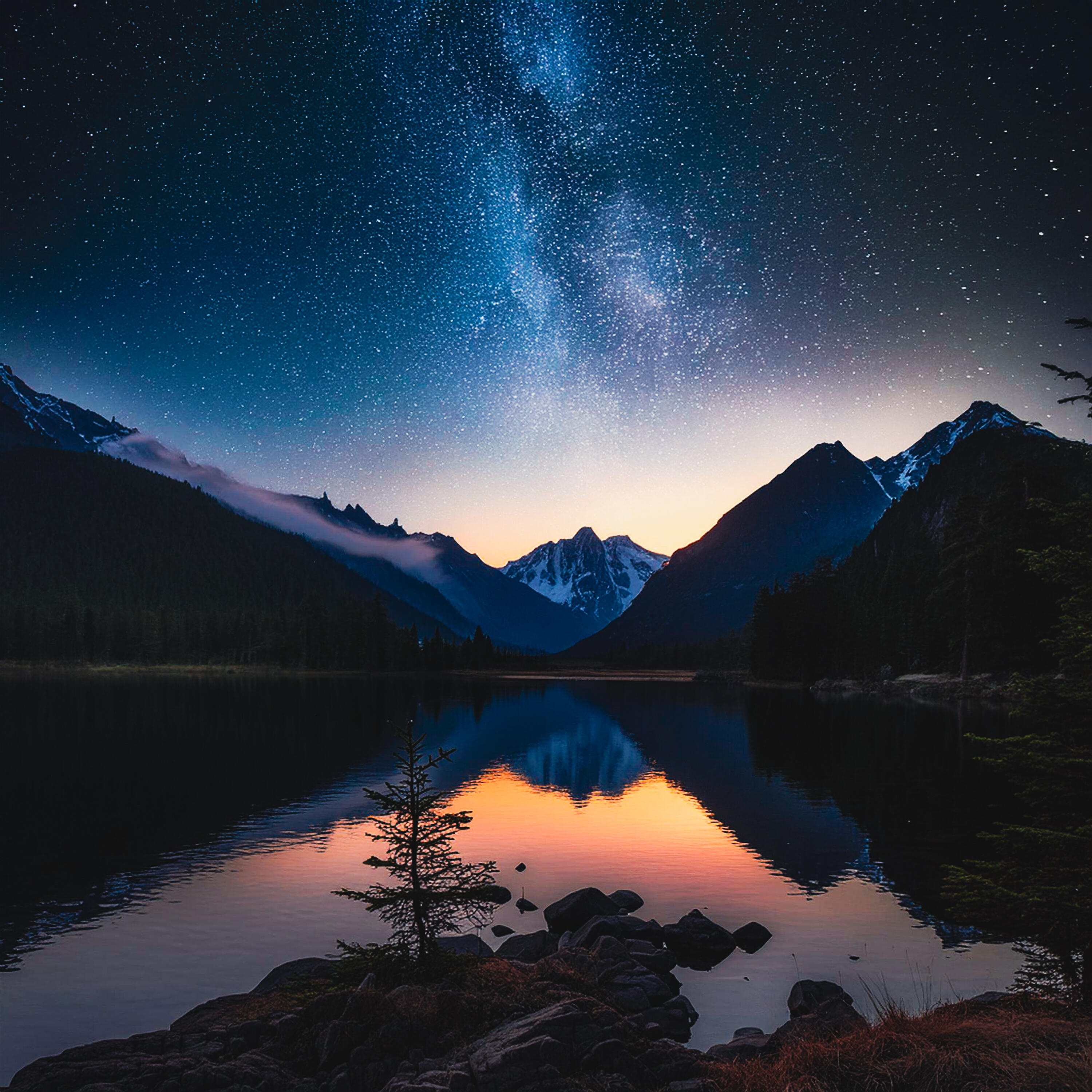 Релиз Midnight
