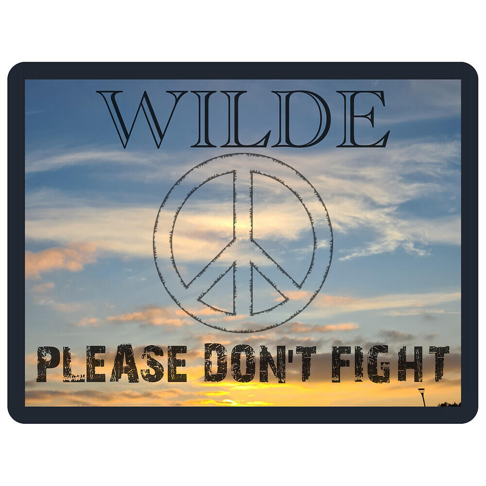 Релиз Please Don't Fight