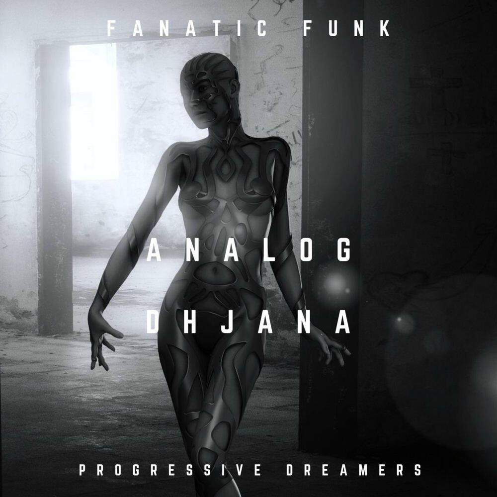 Релиз Analog Dhjana
