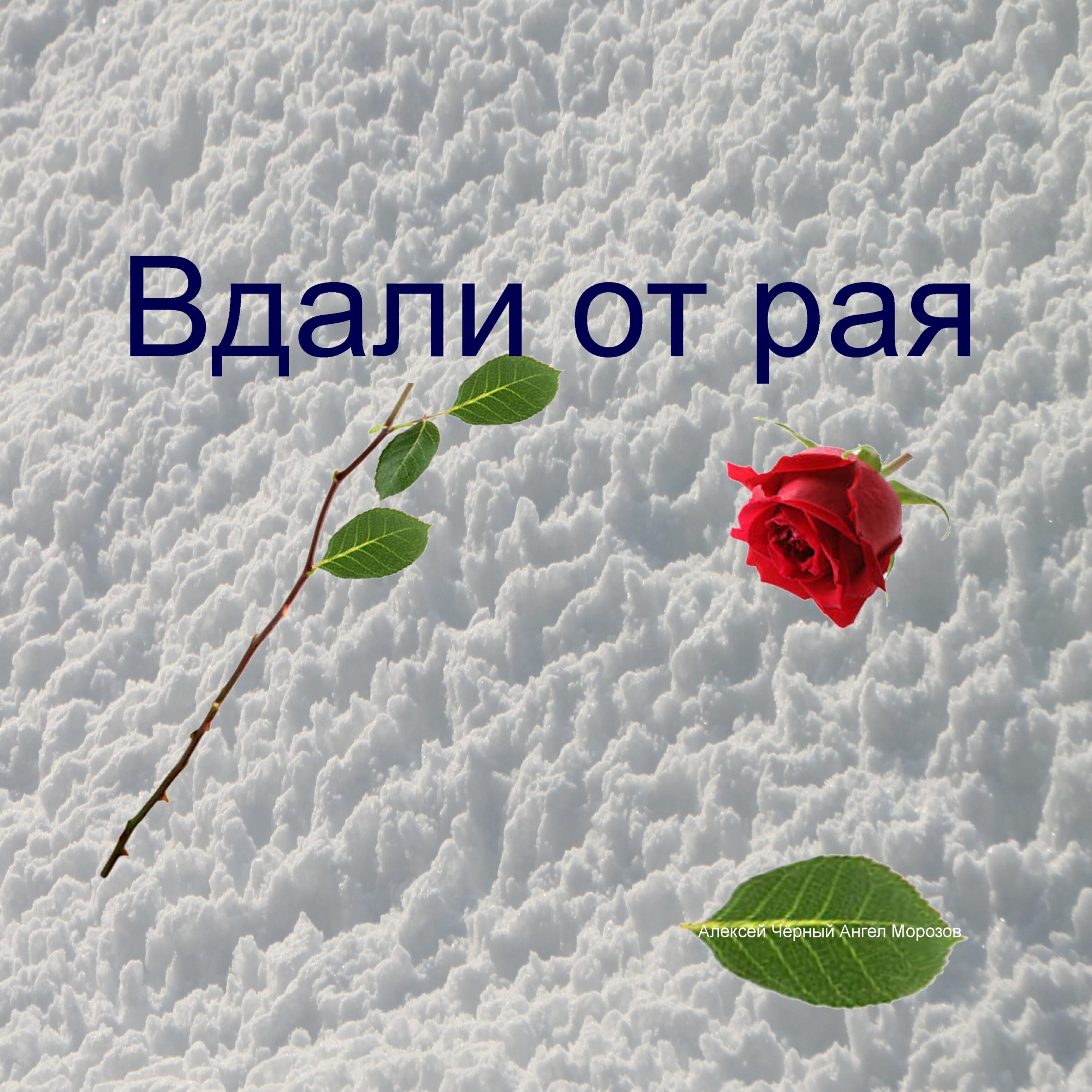 Алексей Чёрный Ангел Морозов