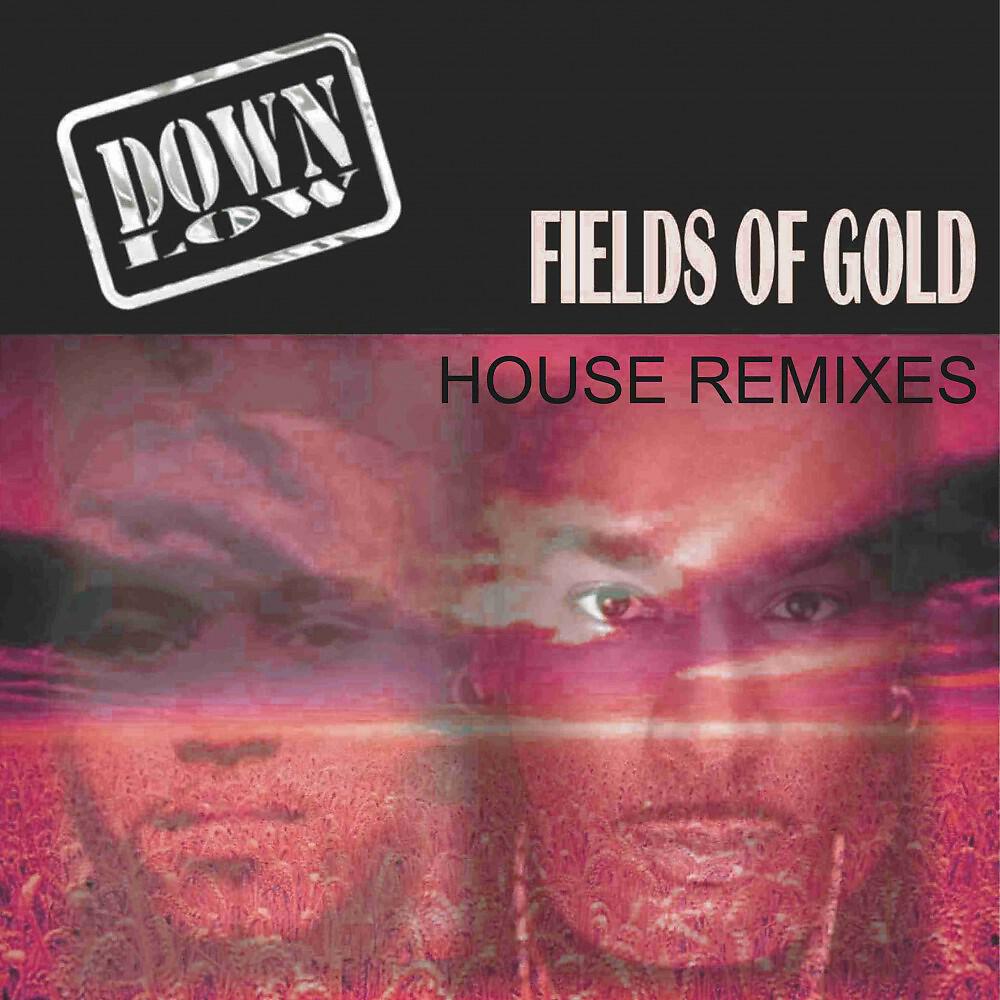 Релиз Fields of Gold (Remixes)