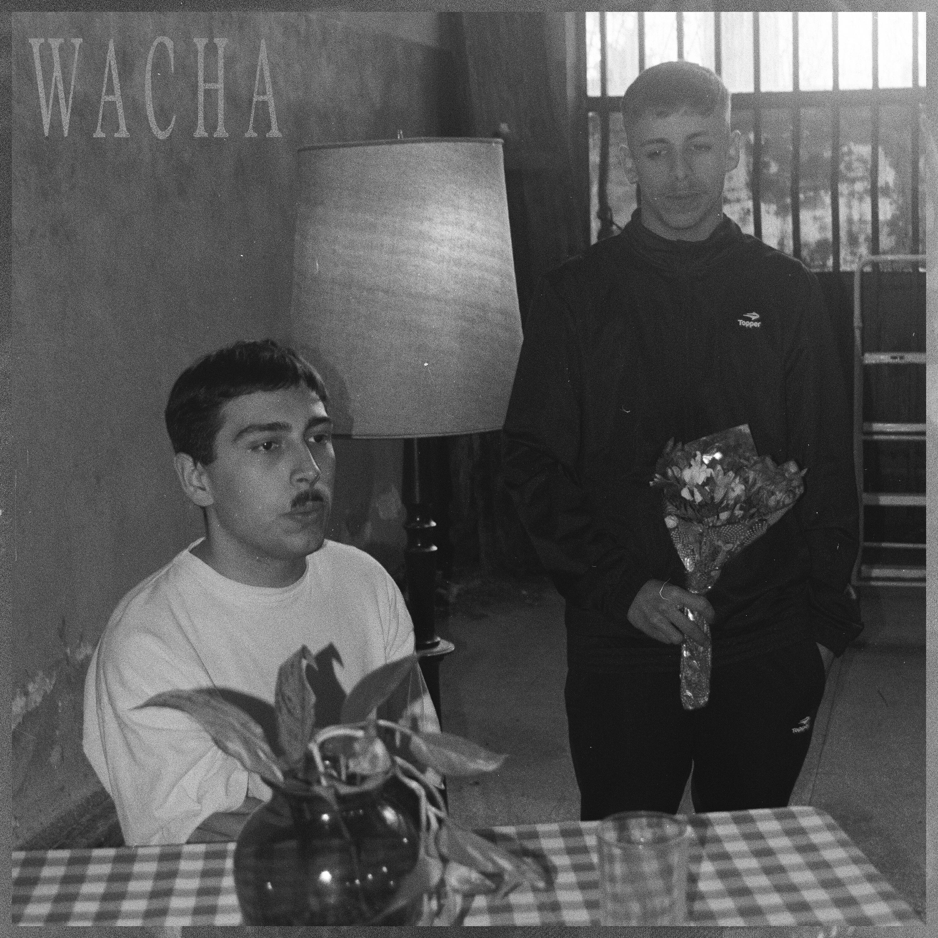 Релиз Wacha