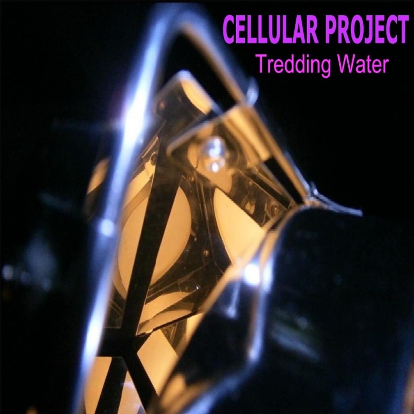 Релиз Tredding Water