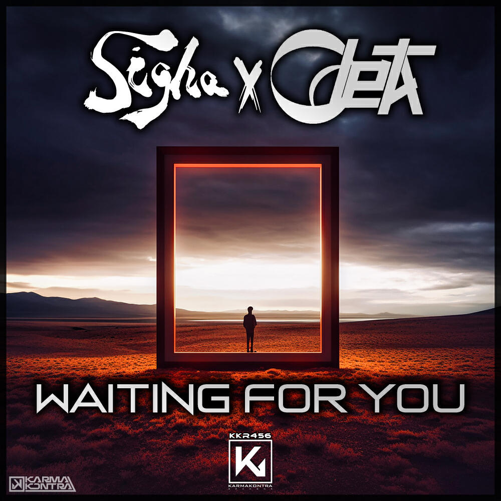 Постер альбома Waiting For You