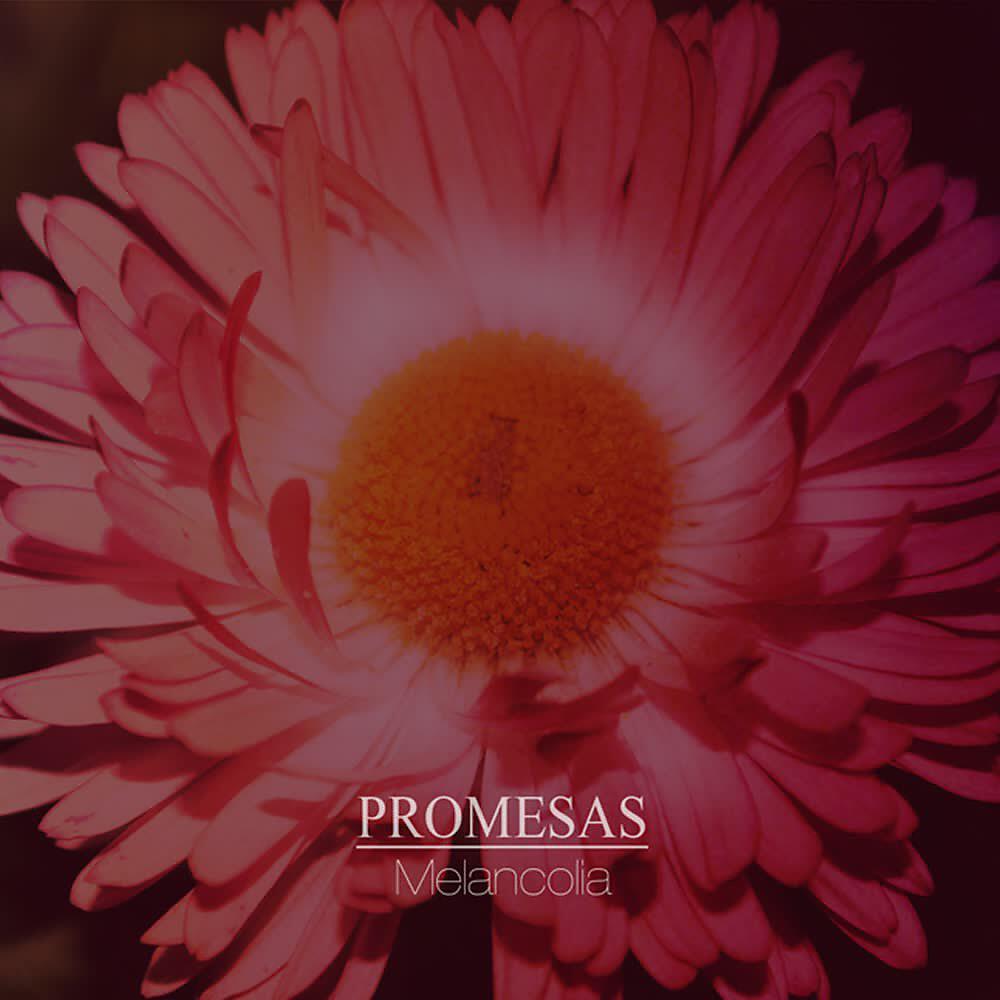 Promesas