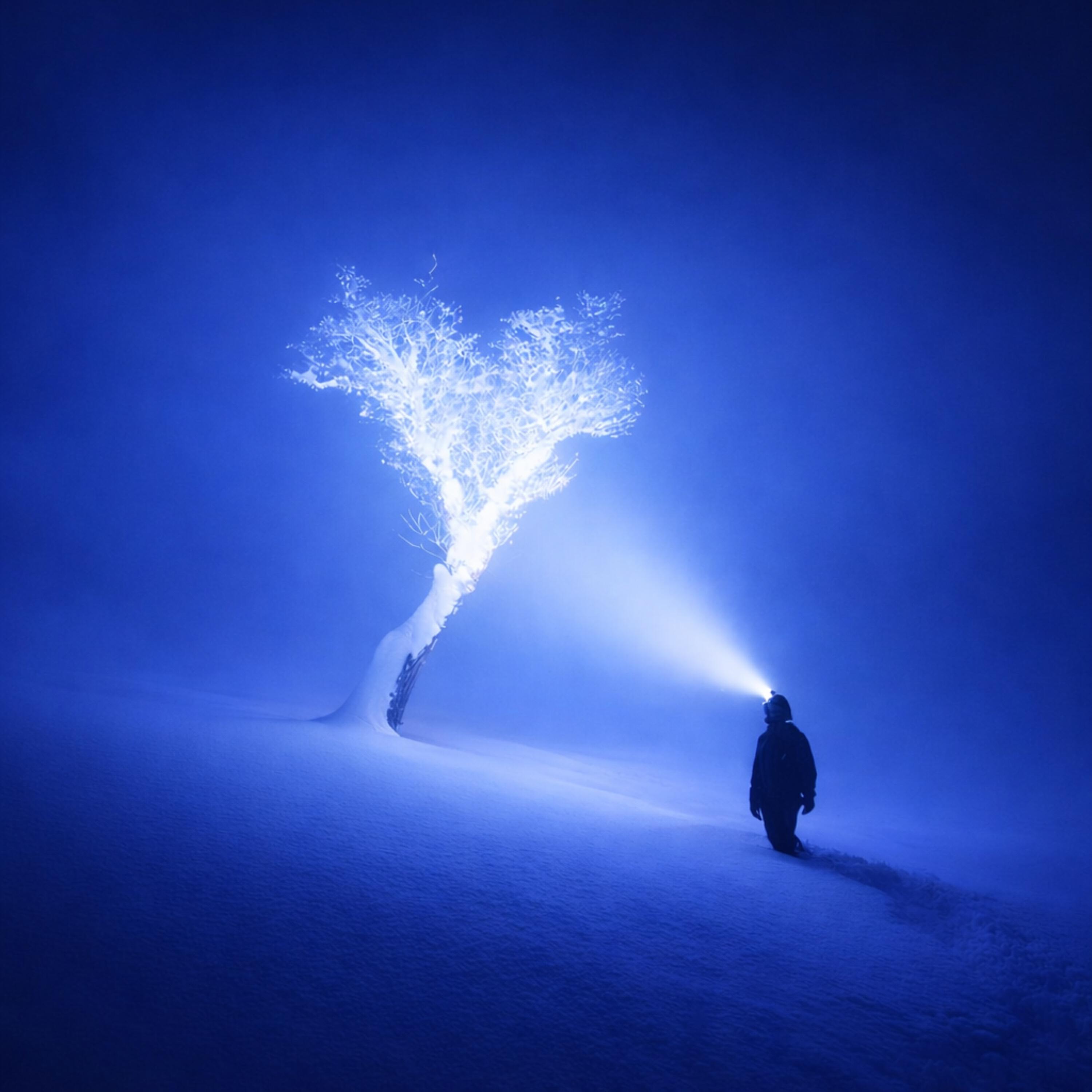 Релиз miracle