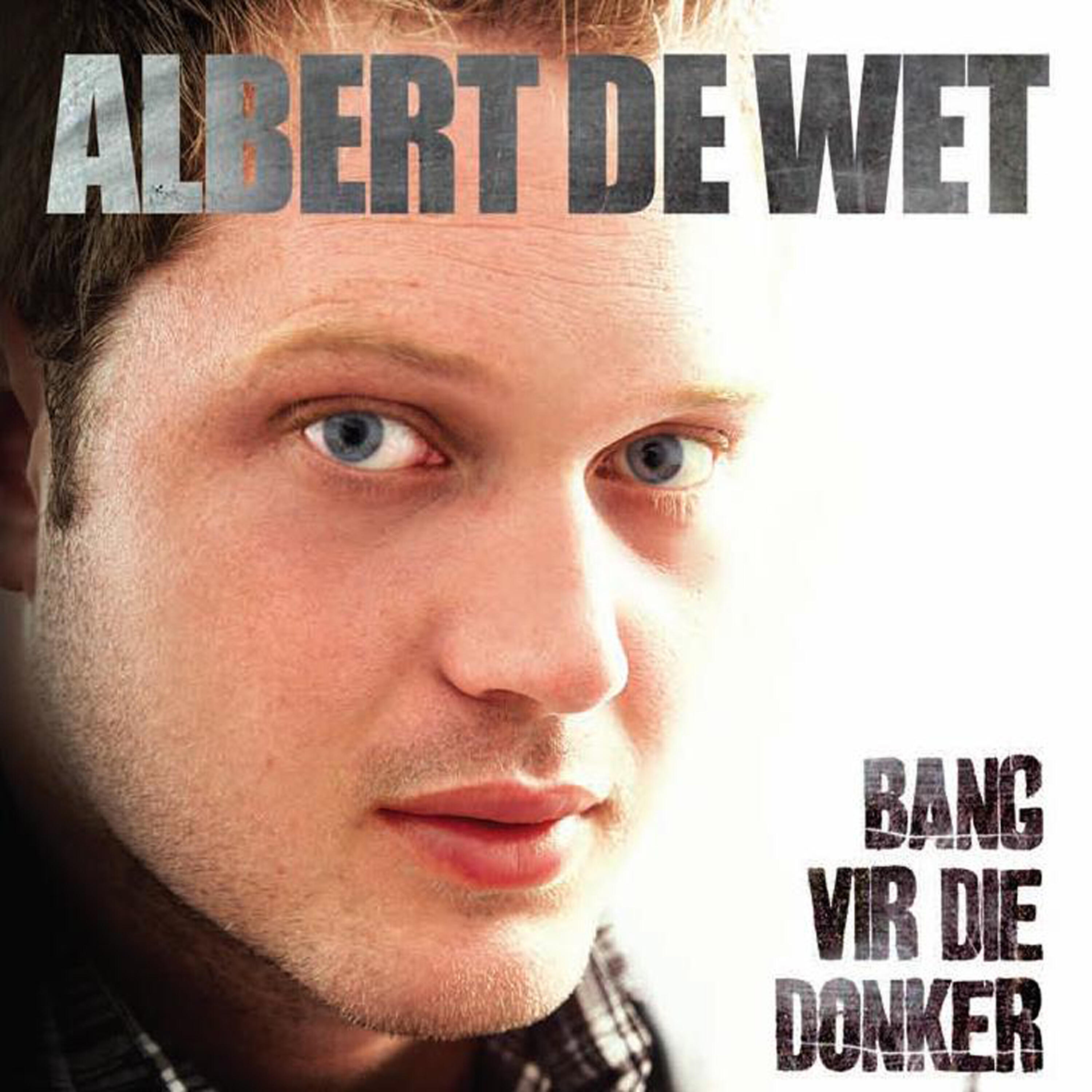 Релиз Bang Vir Die Donker