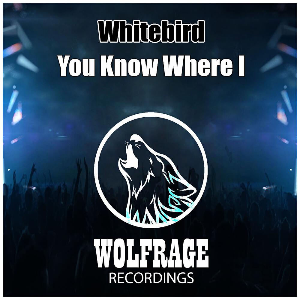 Релиз You Know Where I