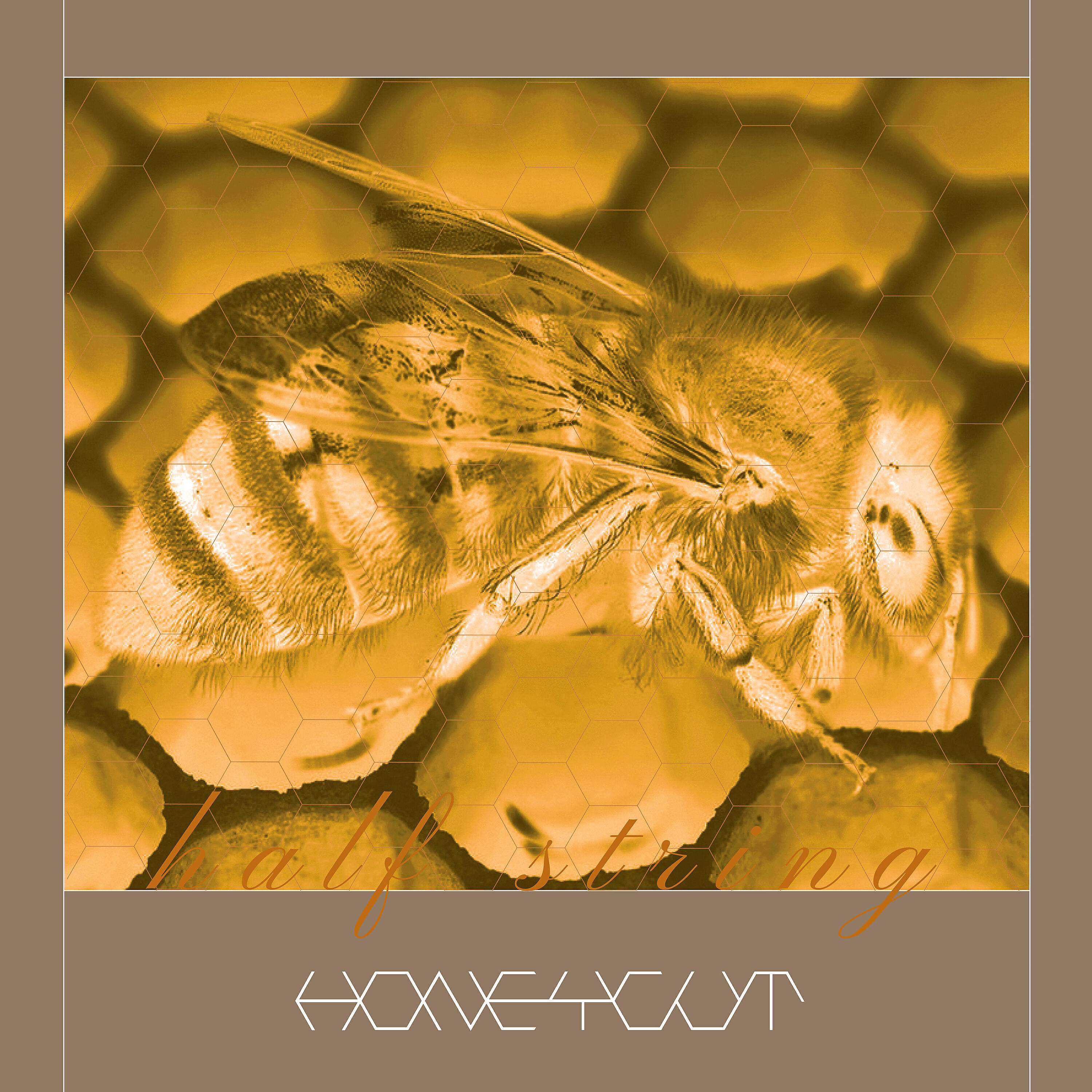 Релиз Honeycut