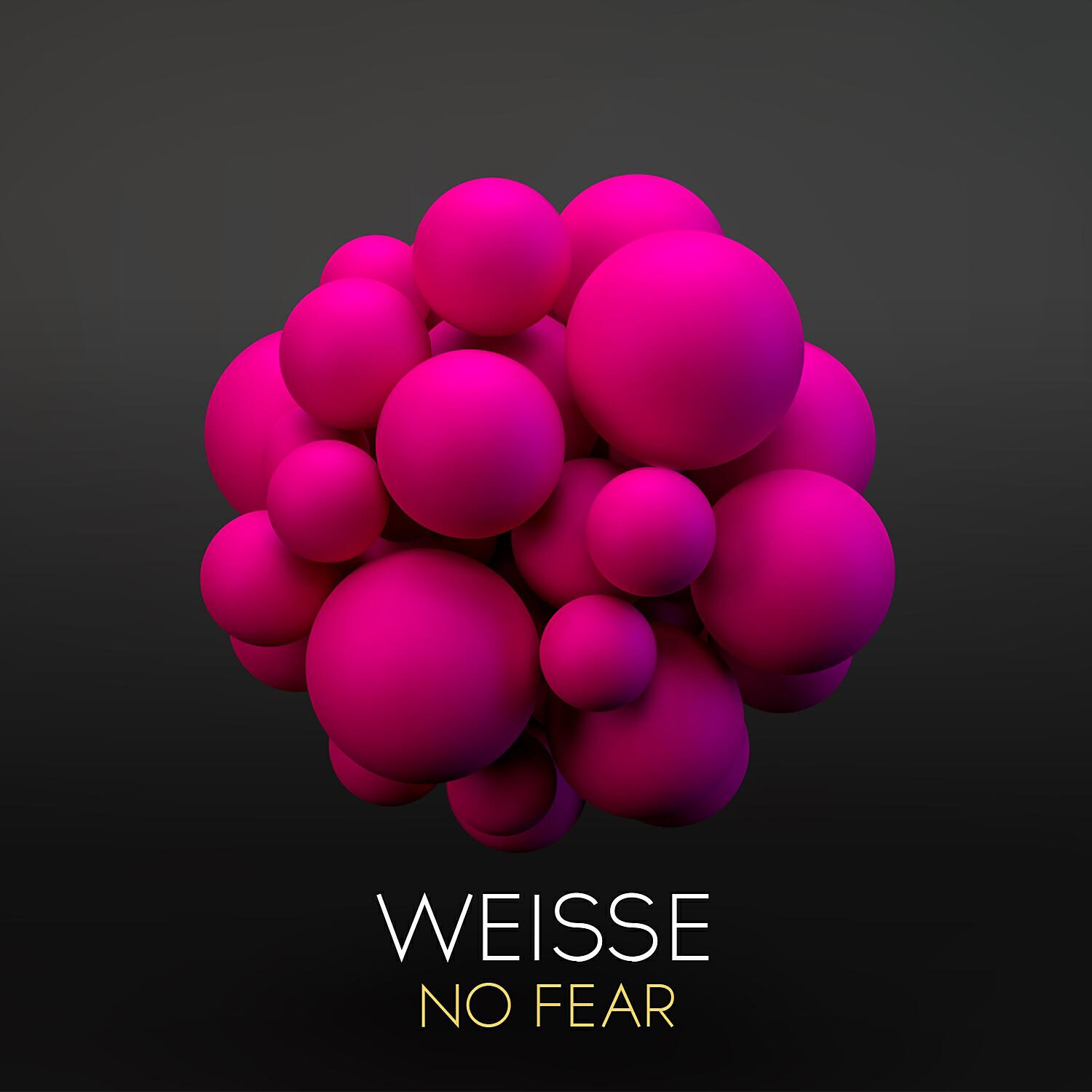 Релиз No Fear