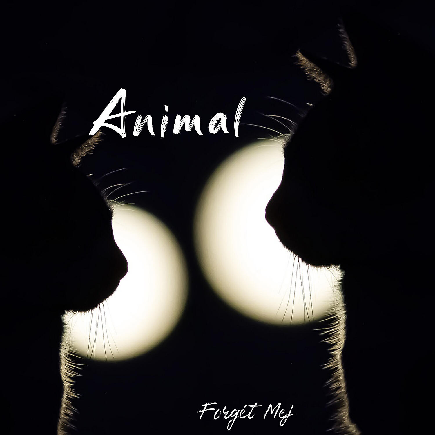 Постер альбома Animal