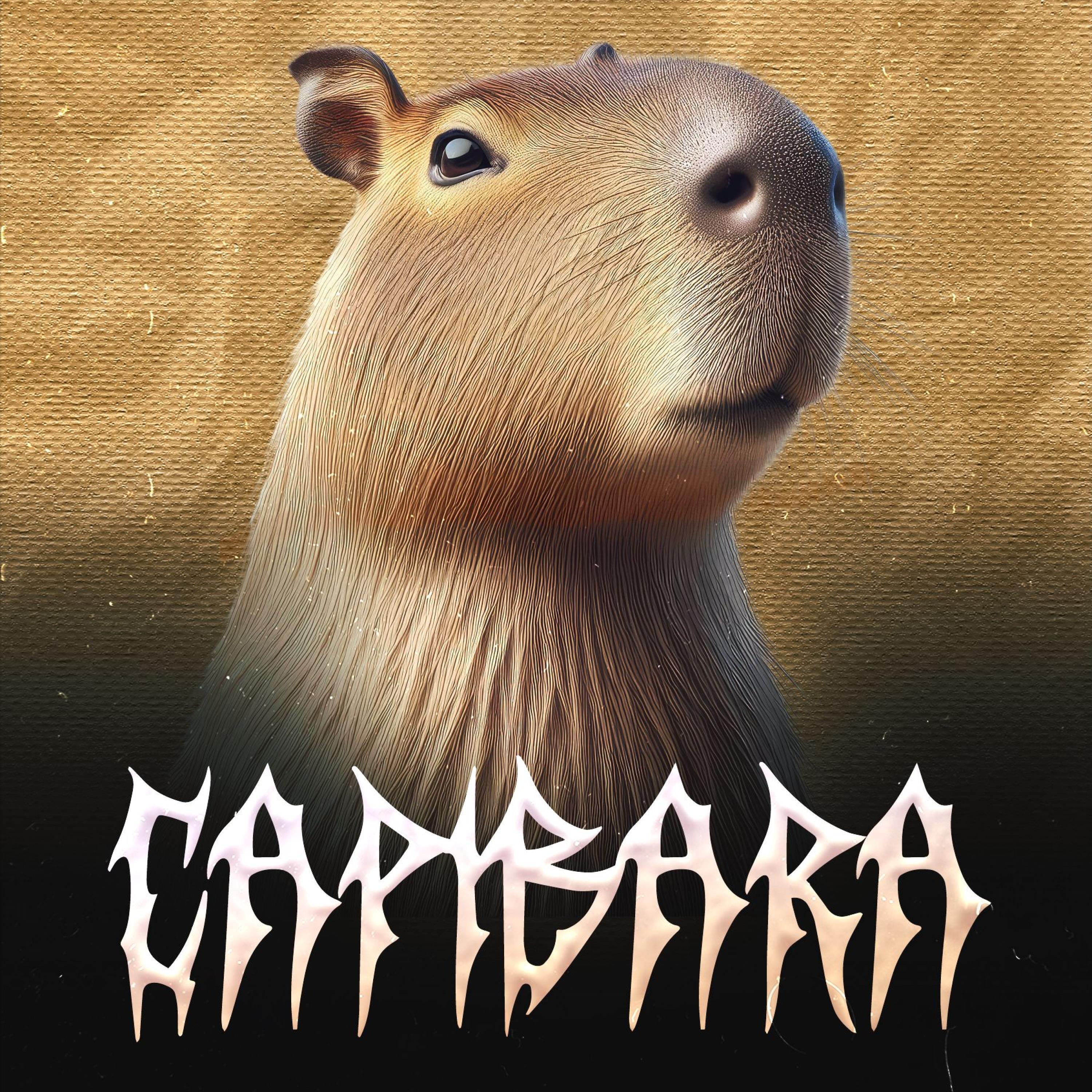 Релиз Capibara