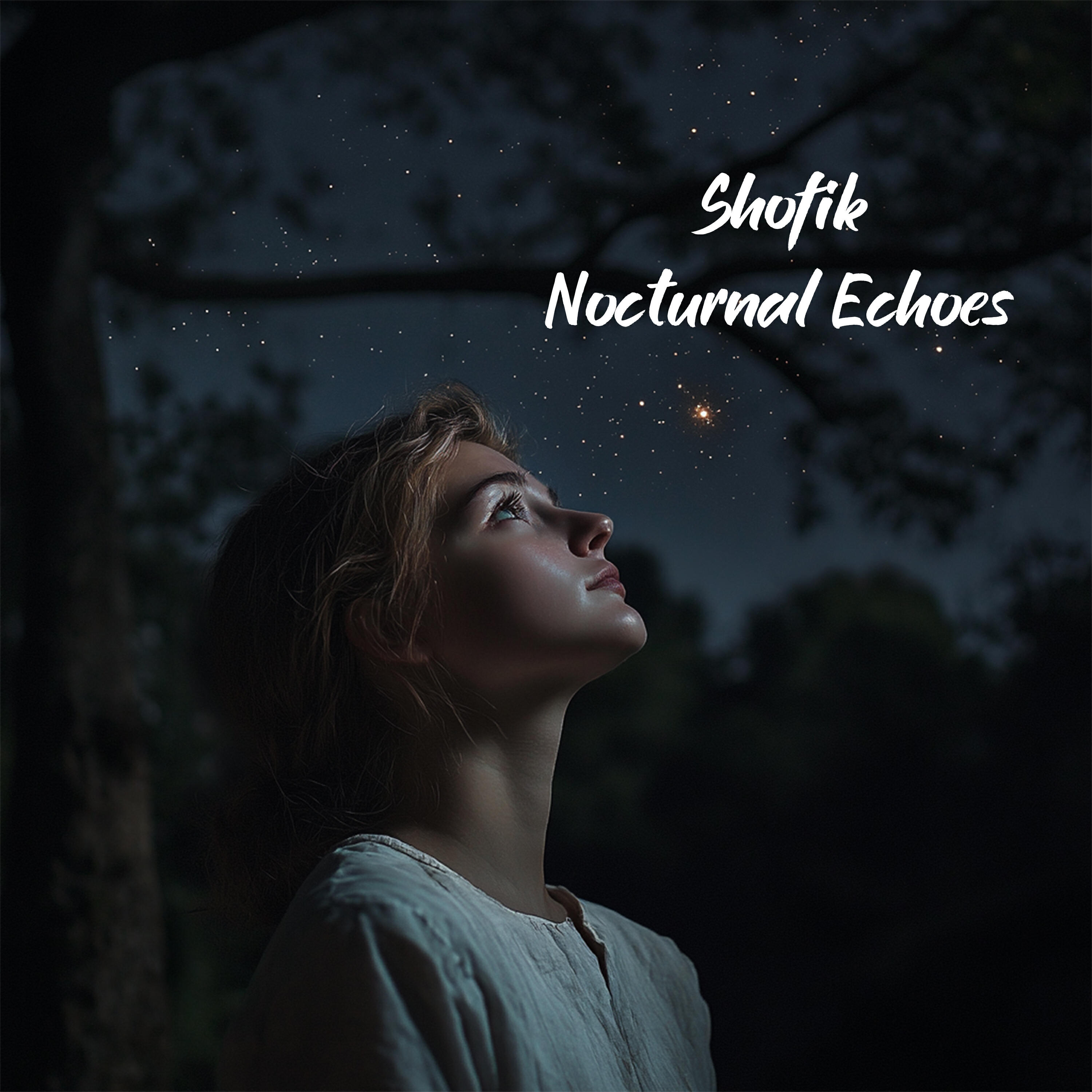 Релиз Nocturnal Echoes