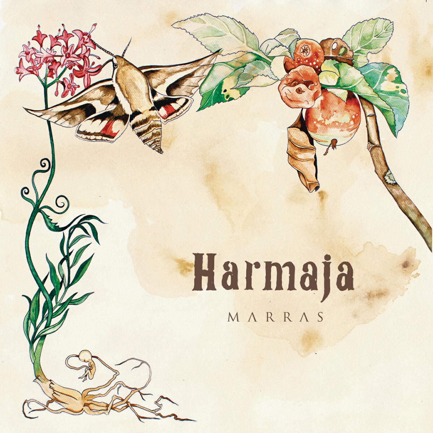 Релиз Marras