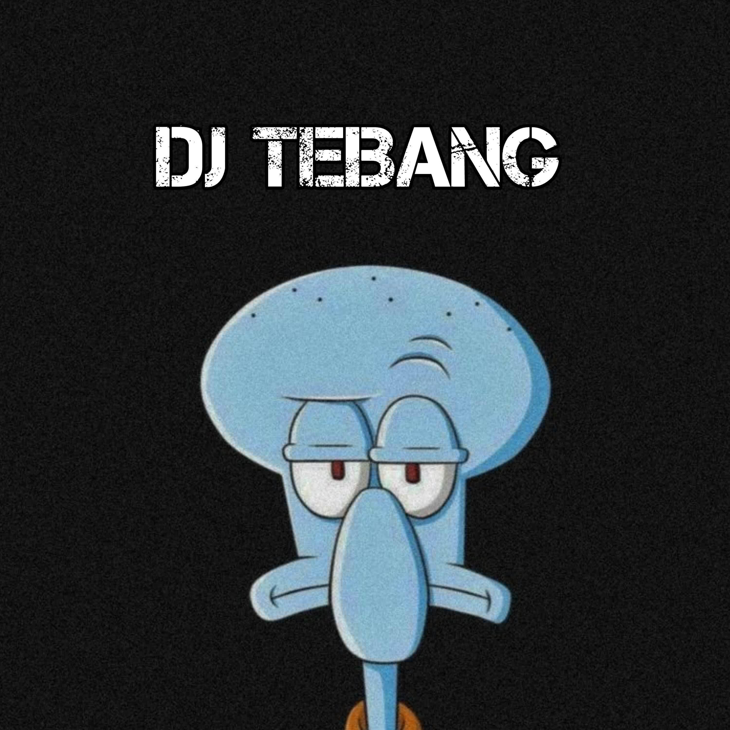 Релиз DJ SURIA PADELE