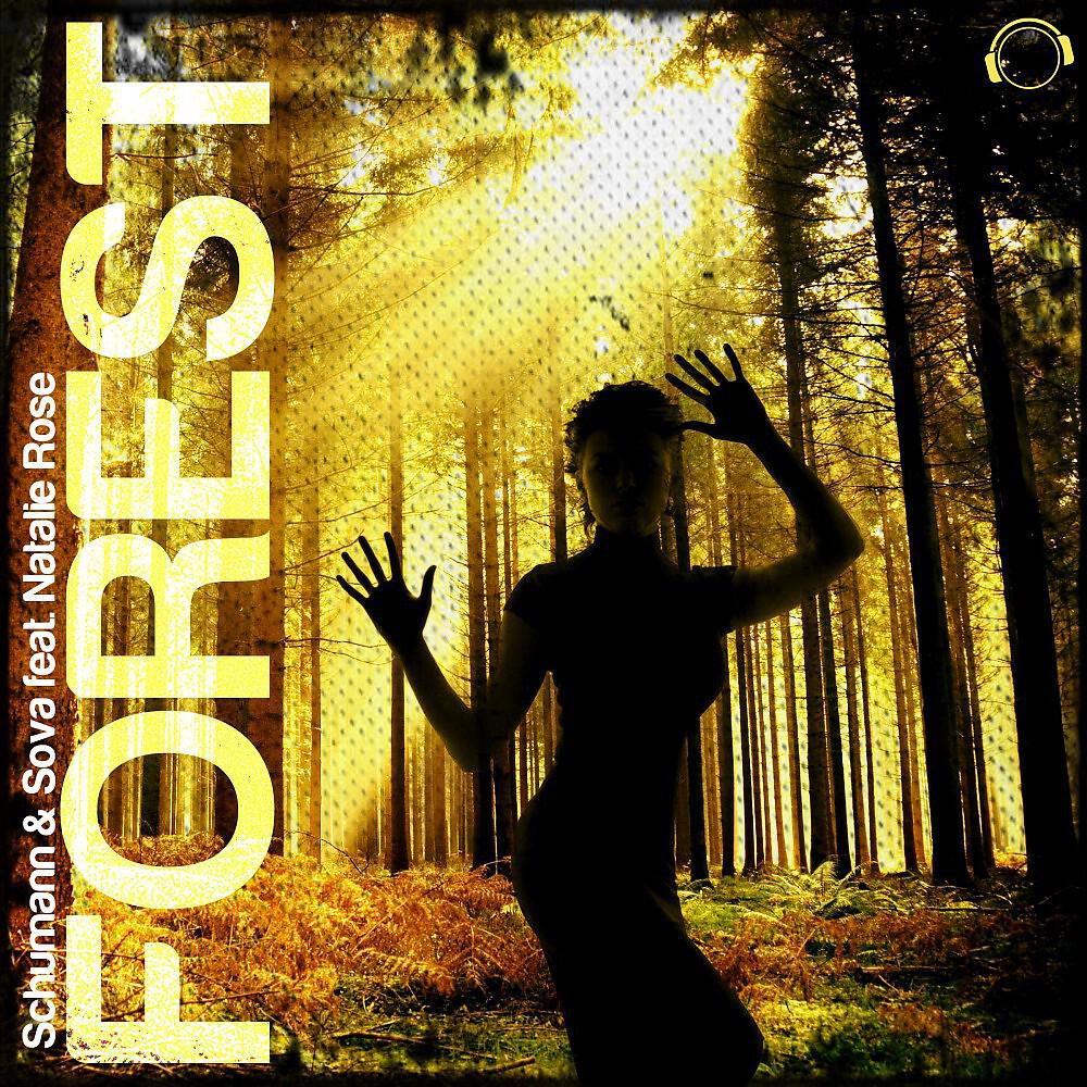 Релиз Forest