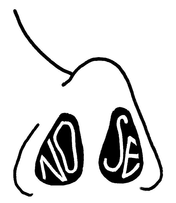 Nose
