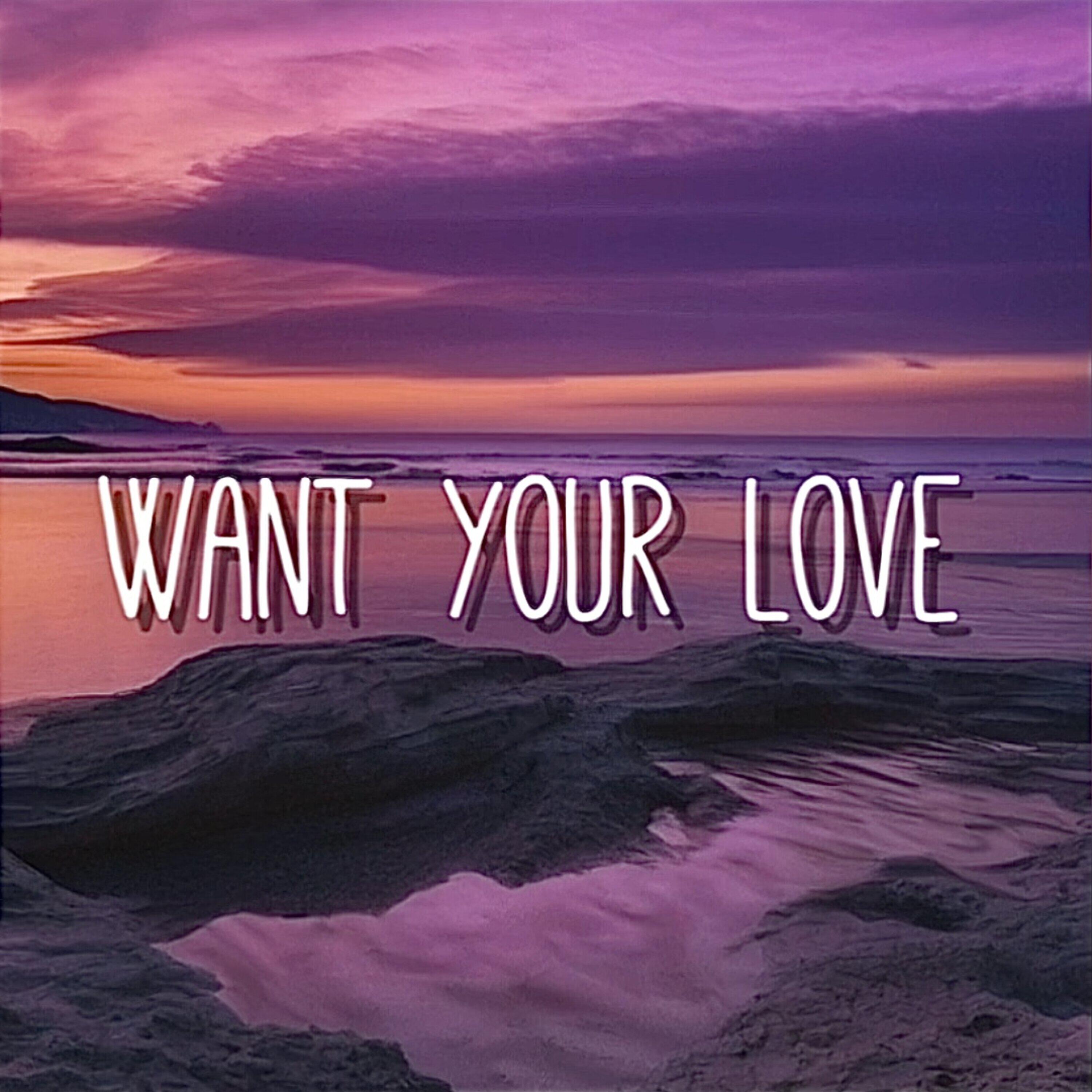 Релиз Want Your Love