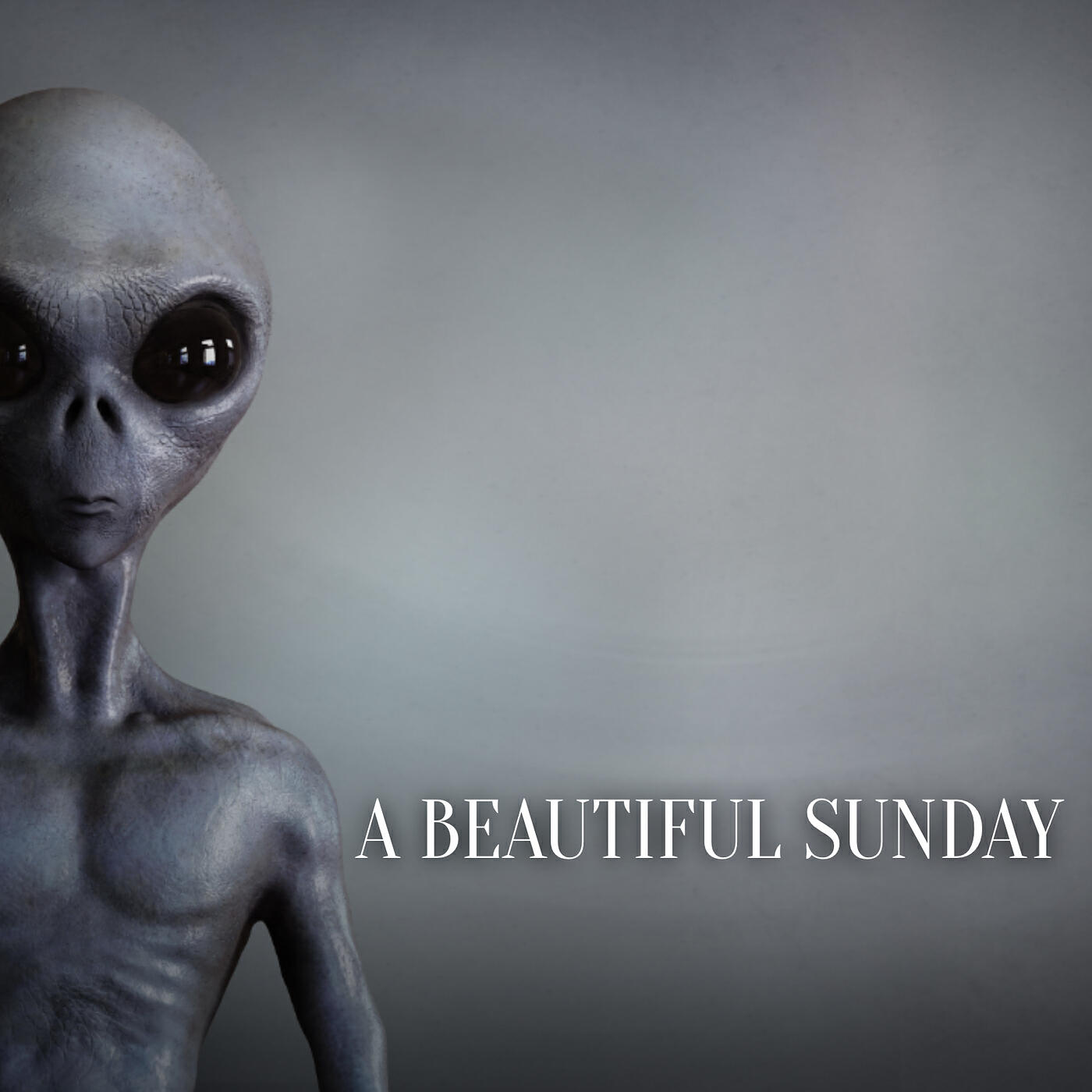 Релиз A Beautiful Sunday