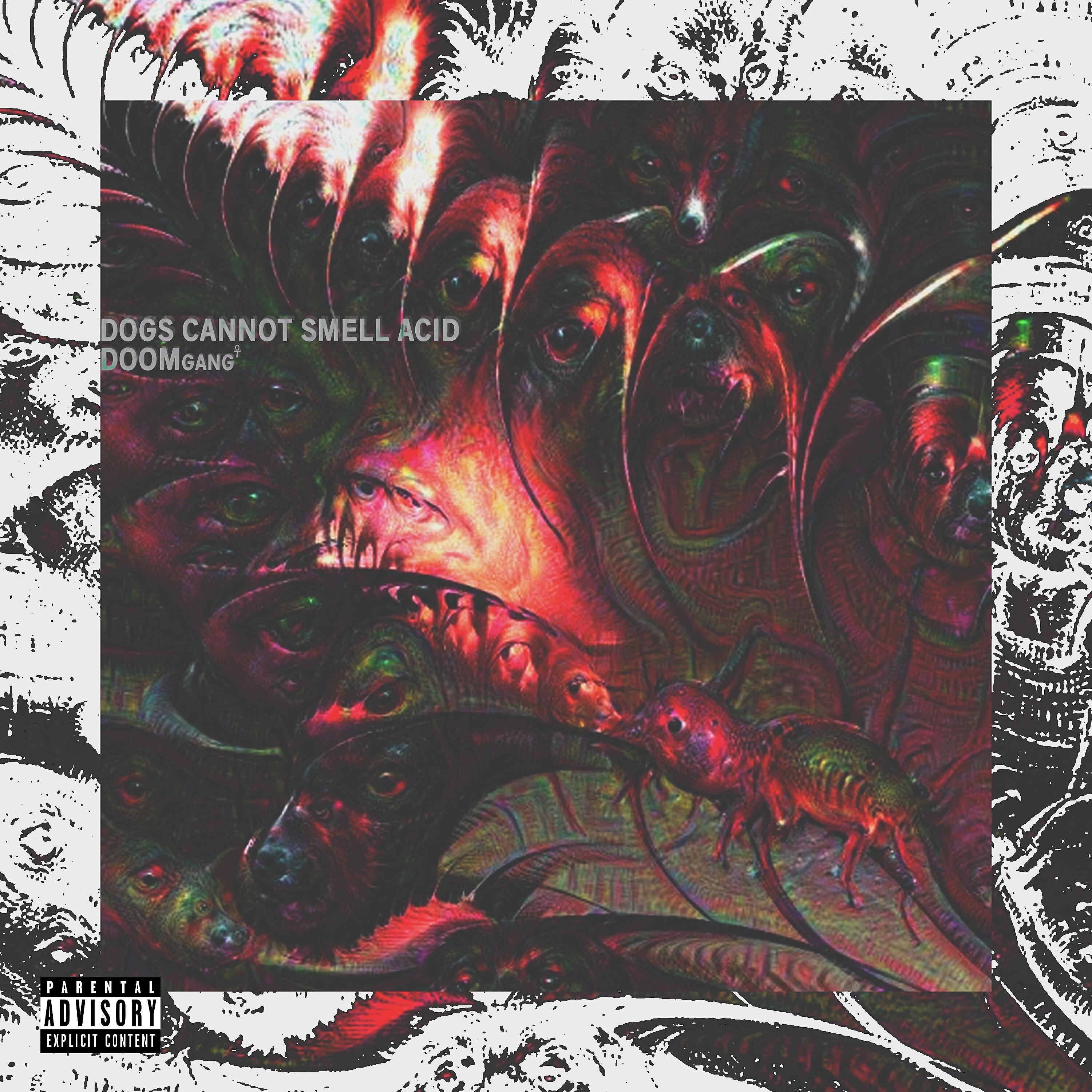 Релиз Dogs Cannot Smell Acid