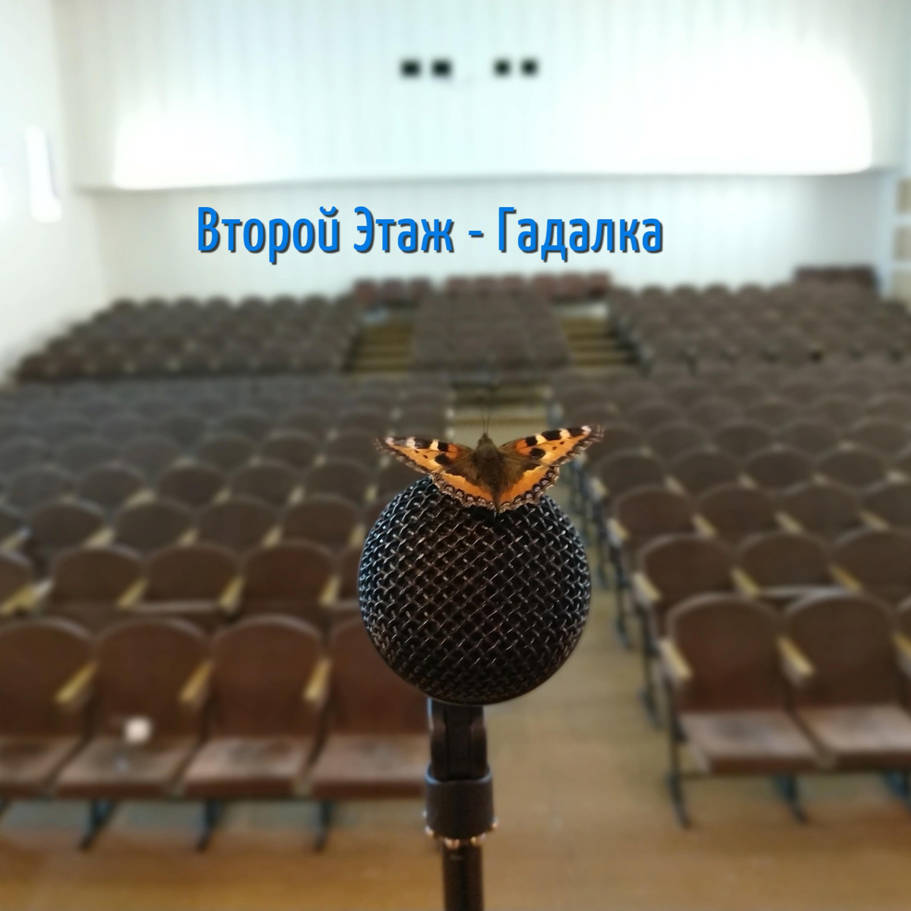 Постер альбома Гадалка