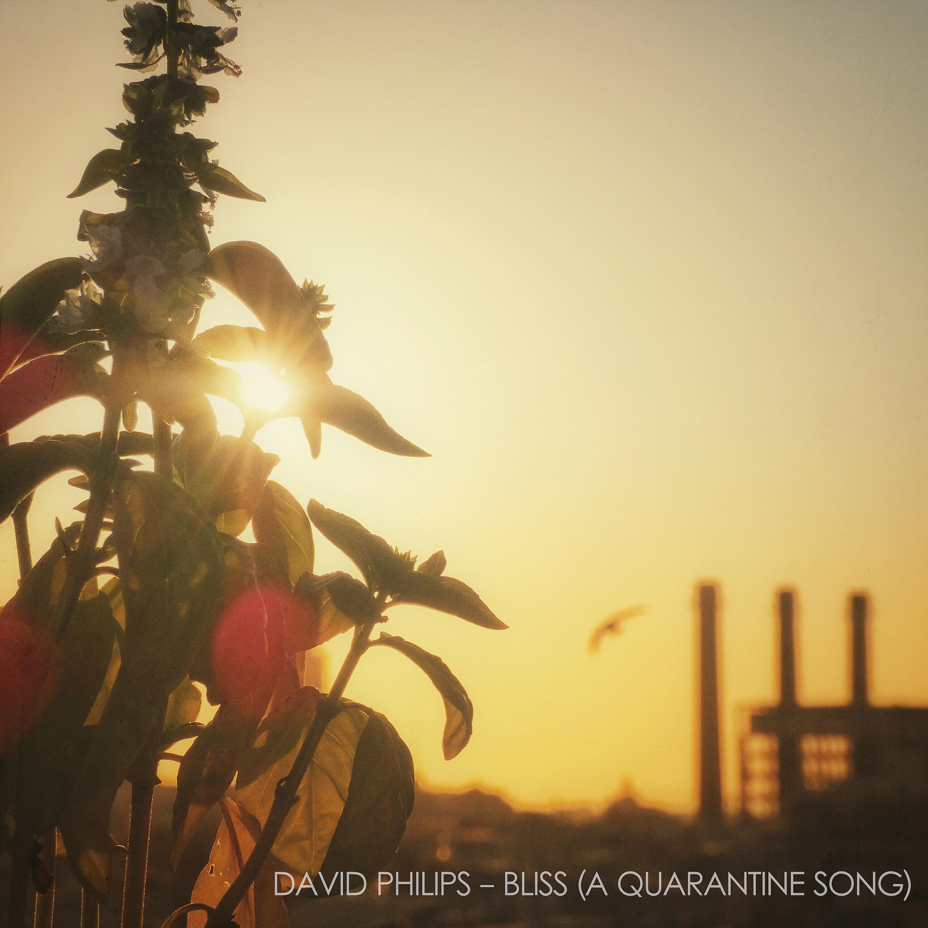 Релиз Bliss (a Quarantine Song)