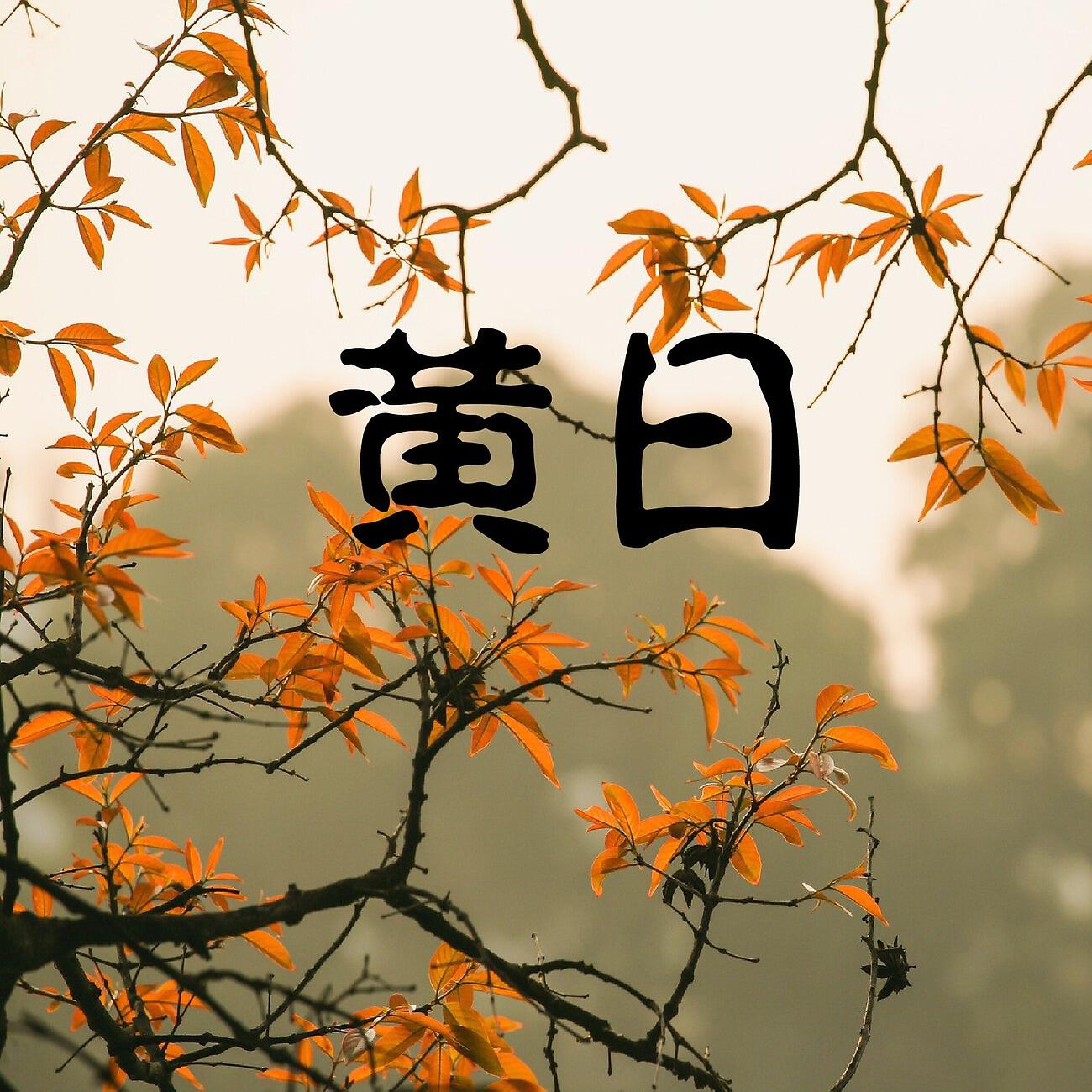 Релиз 黄日