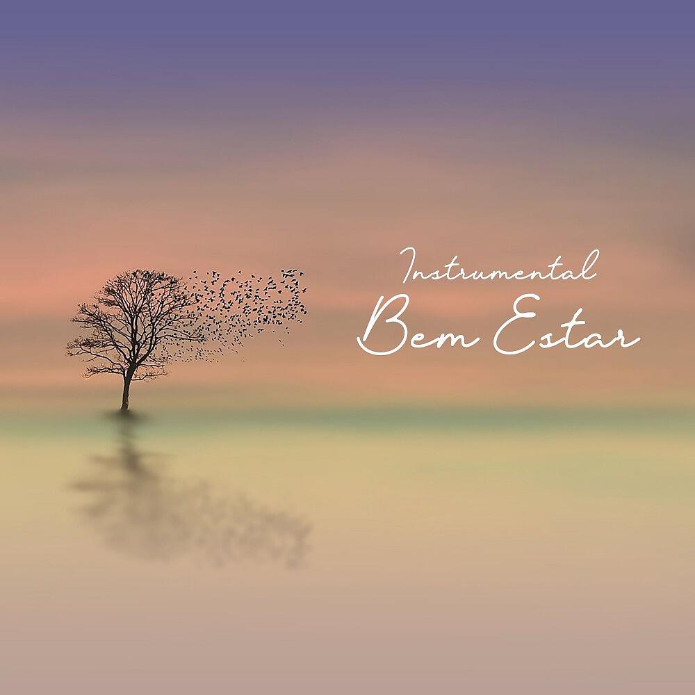 Релиз Instrumental: Bem Estar