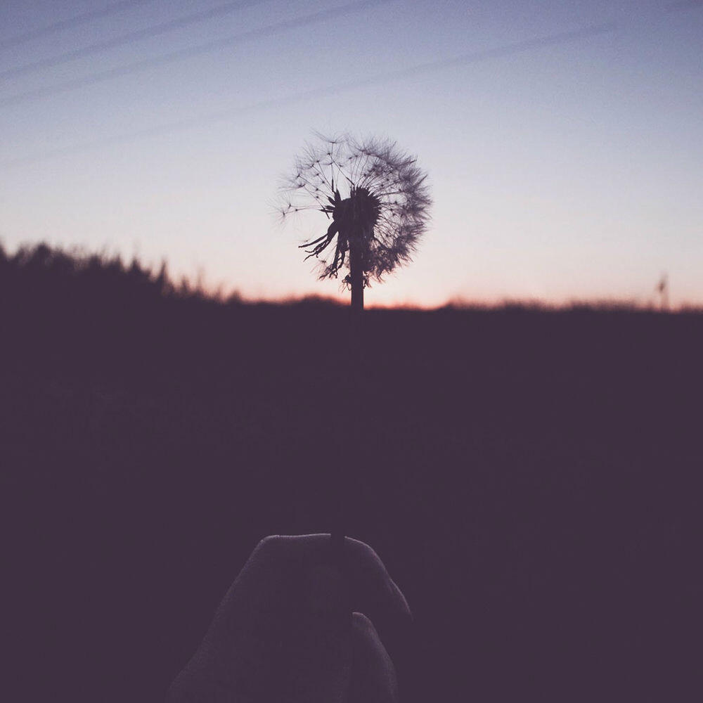 Релиз When The Birds Come Back