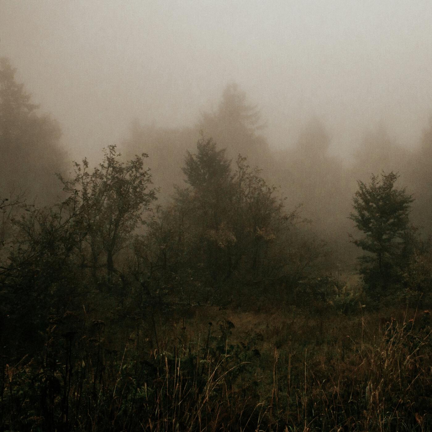 Релиз Mercuriale