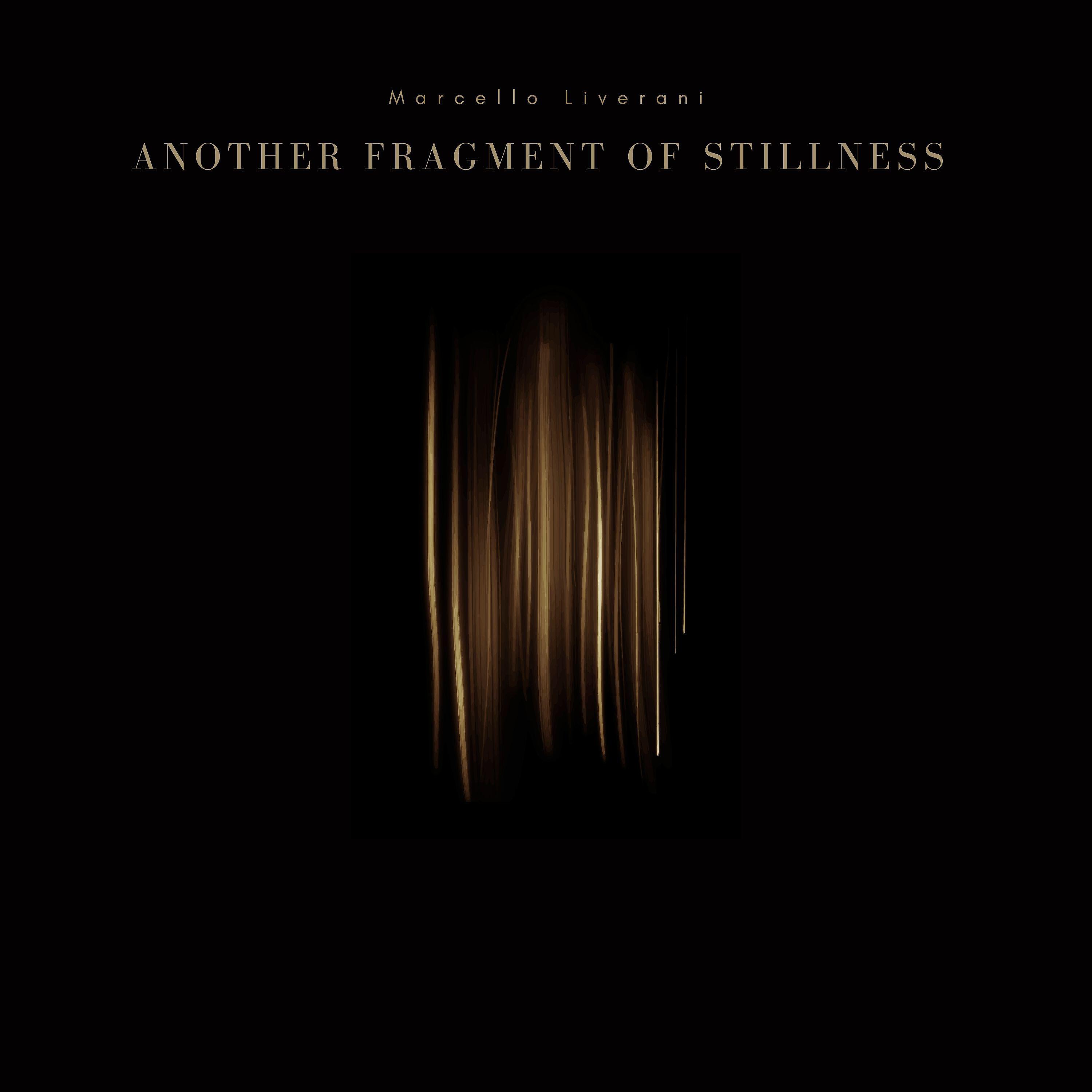 Релиз Another Fragment Of Stillness