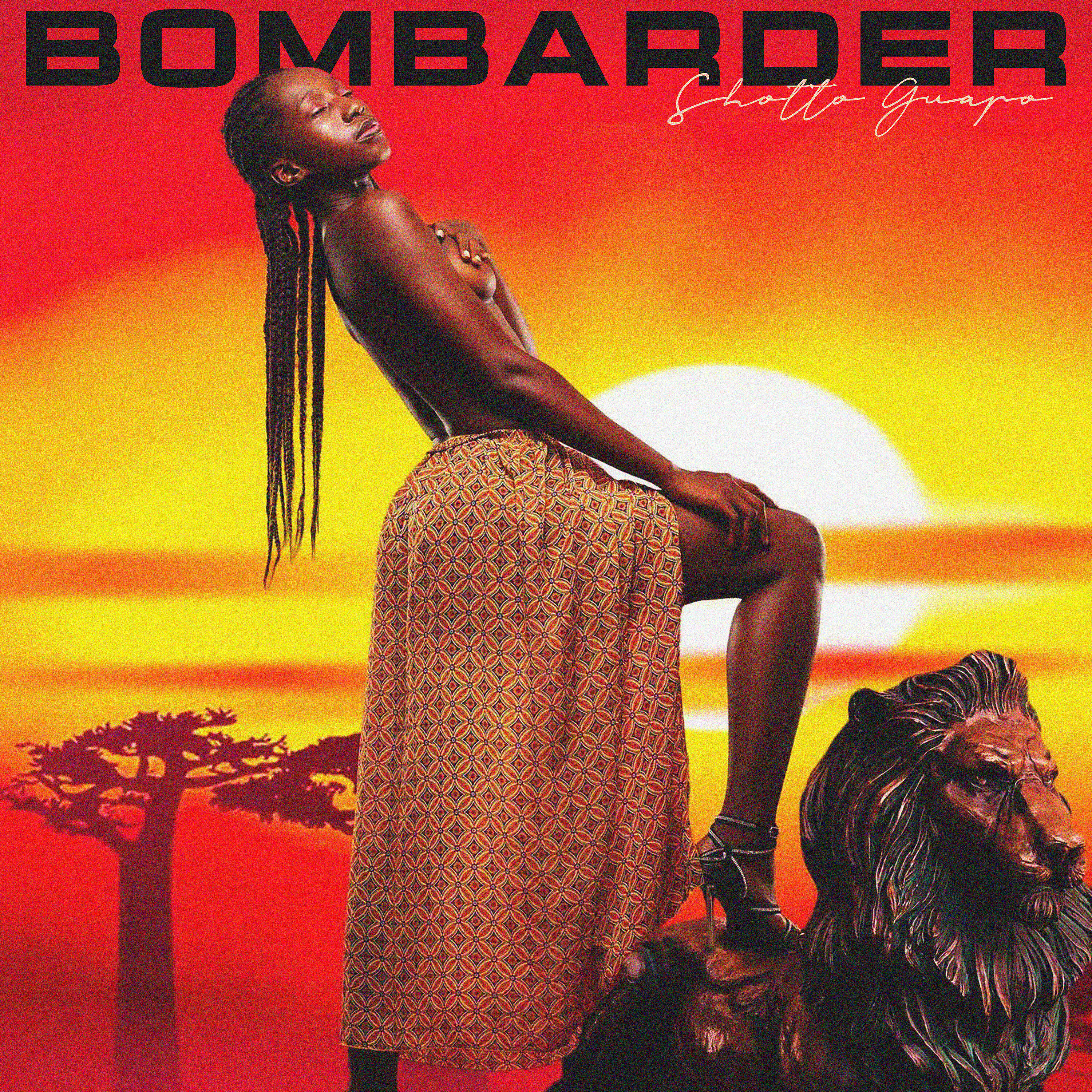 Релиз Bombarder